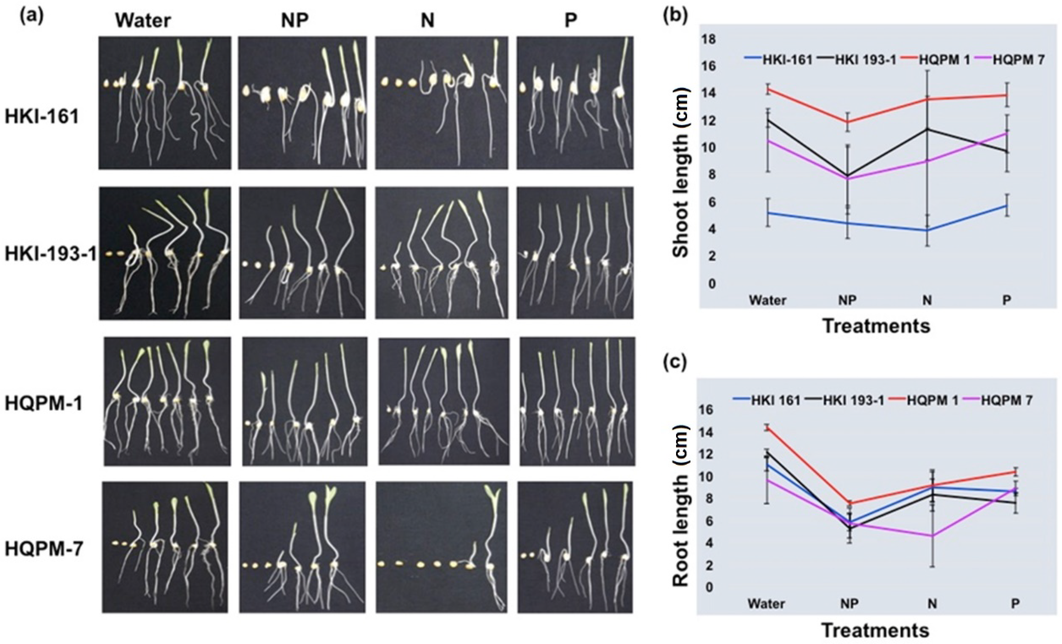 Agriculture 13 00654 g001