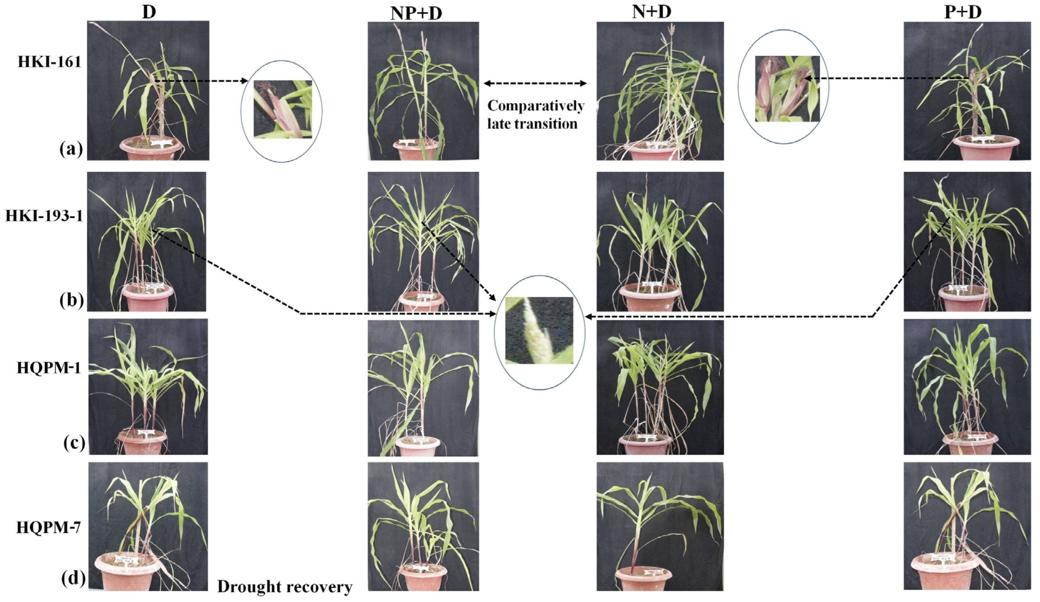 Agriculture 13 00654 g007