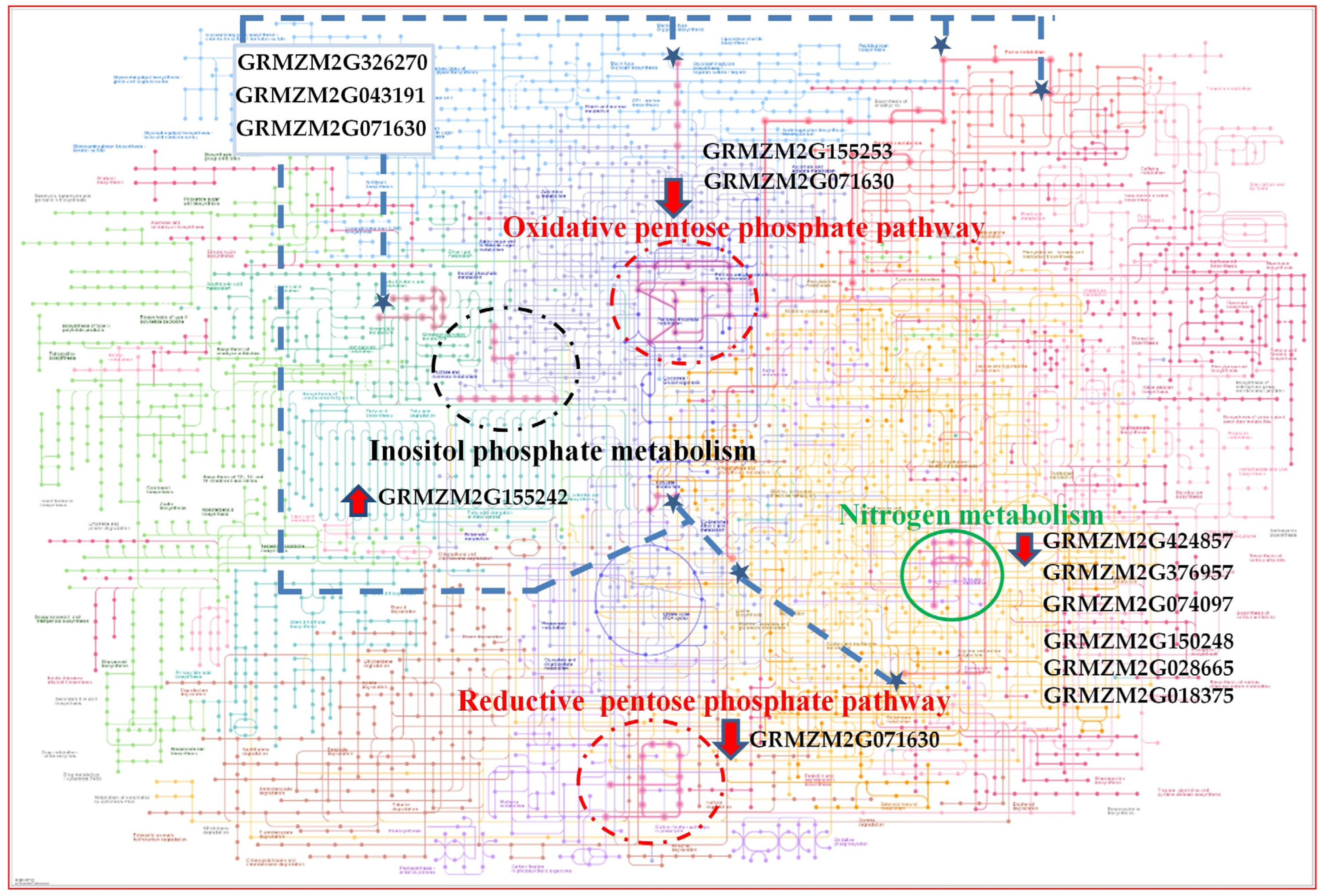 Agriculture 13 00654 g011