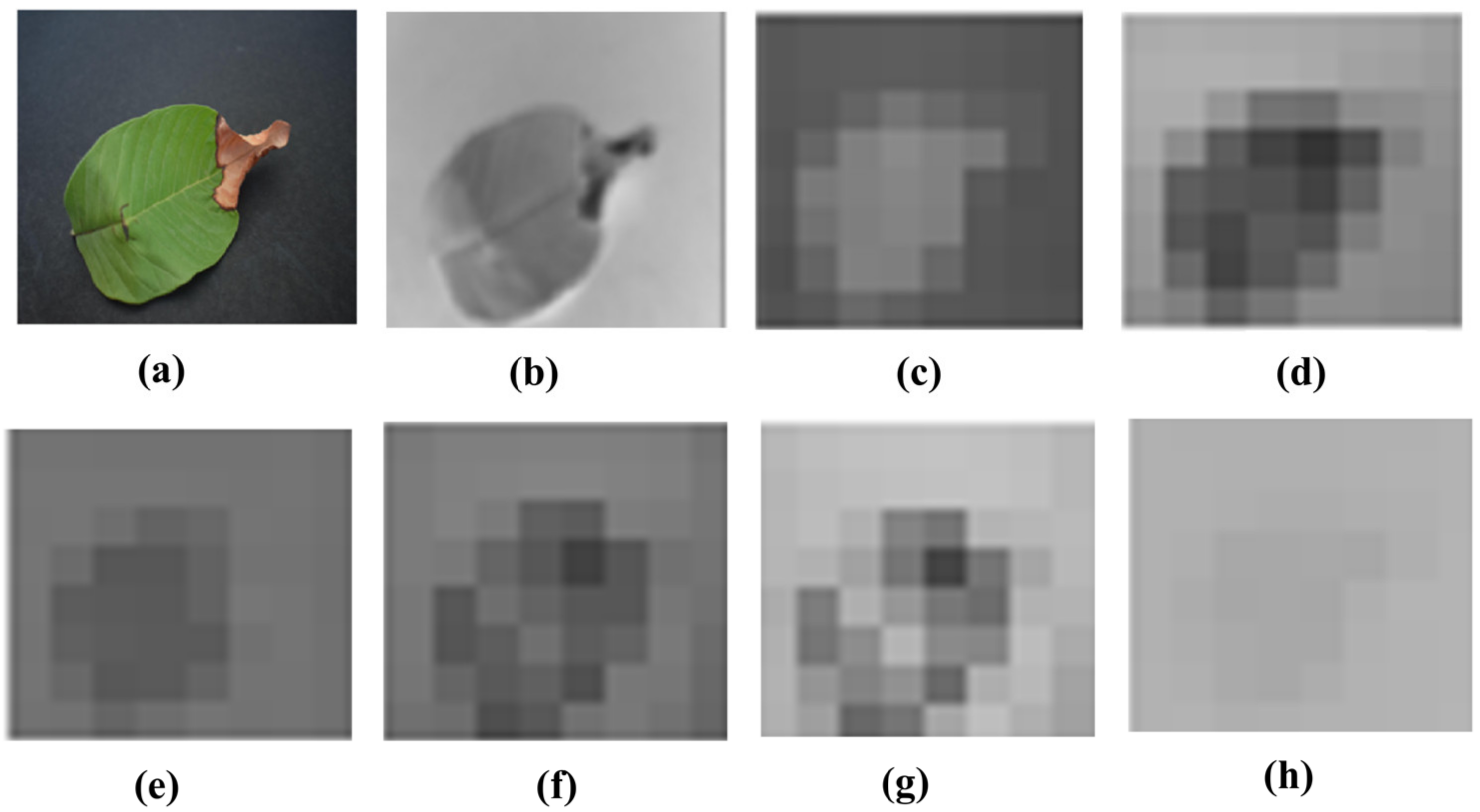 Agriculture 13 00667 g004