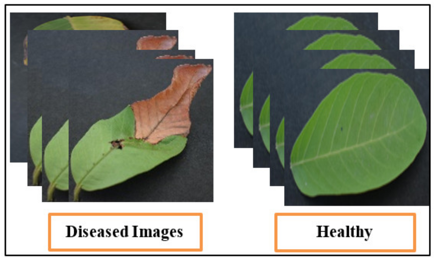 Agriculture 13 00667 g007