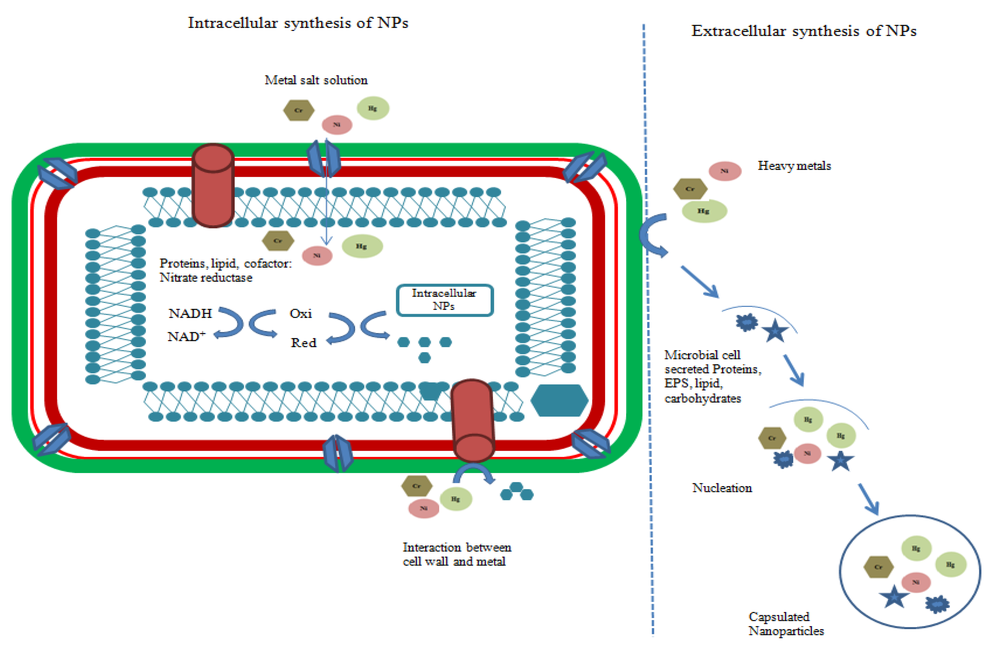 Agriculture 13 00668 g002