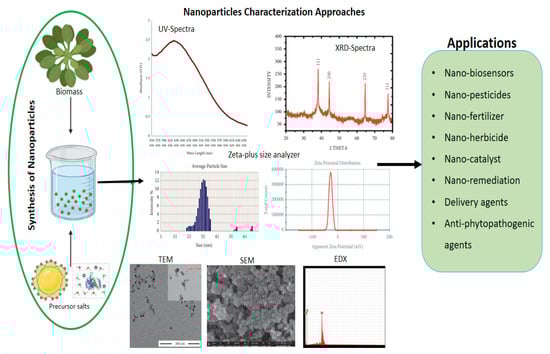 Agriculture 13 00668 g003