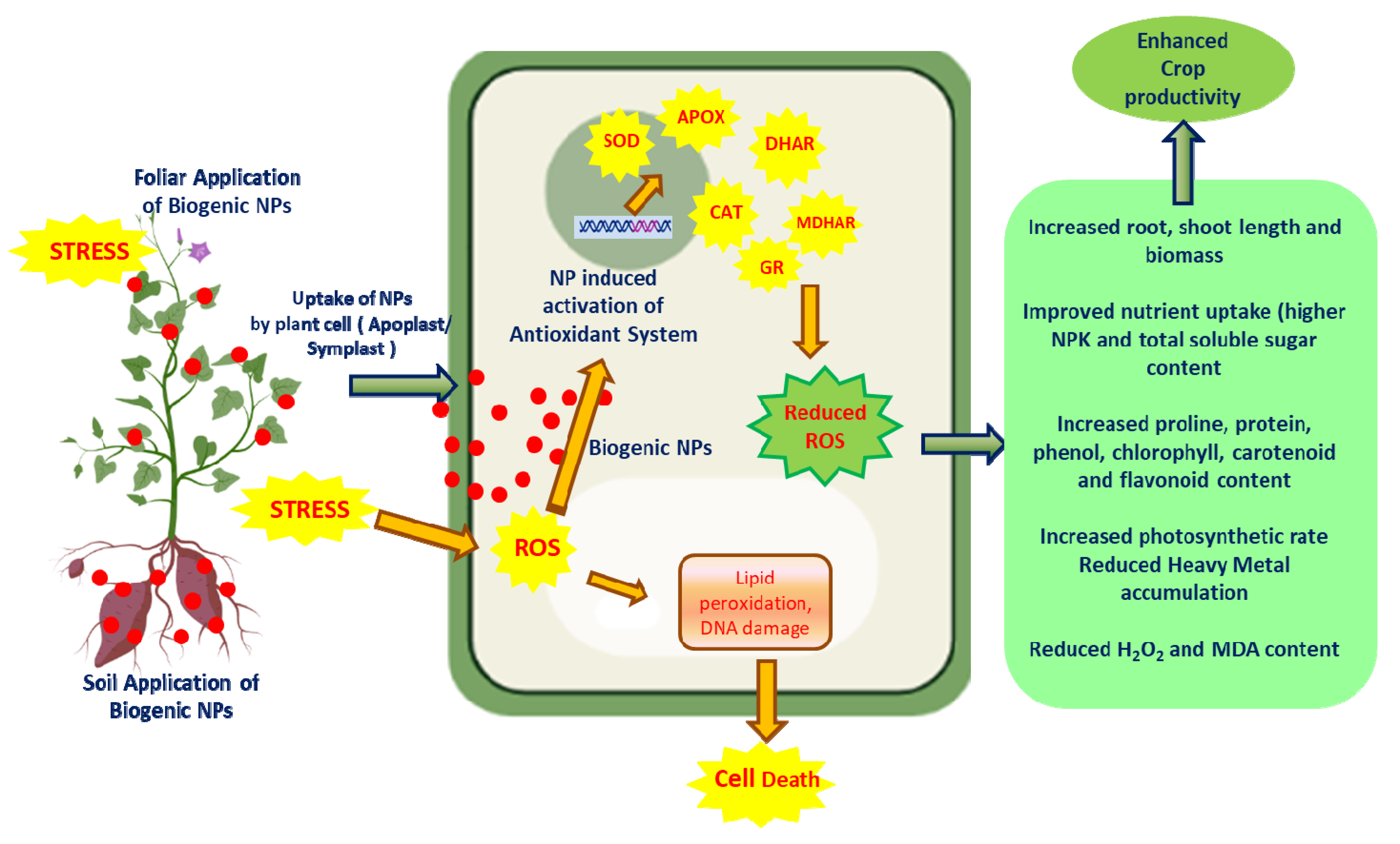 Agriculture 13 00668 g004