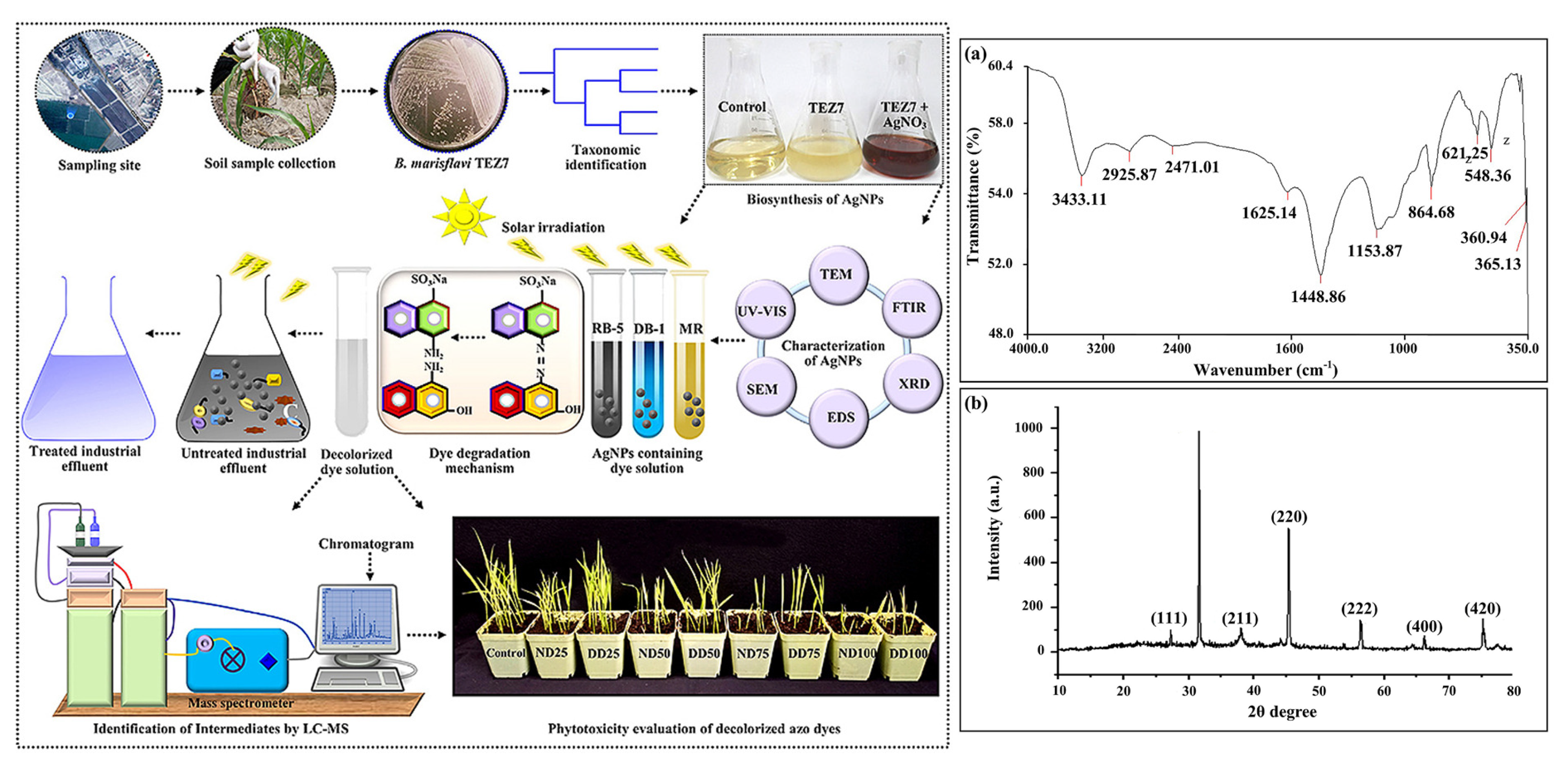 Agriculture 13 00668 g006