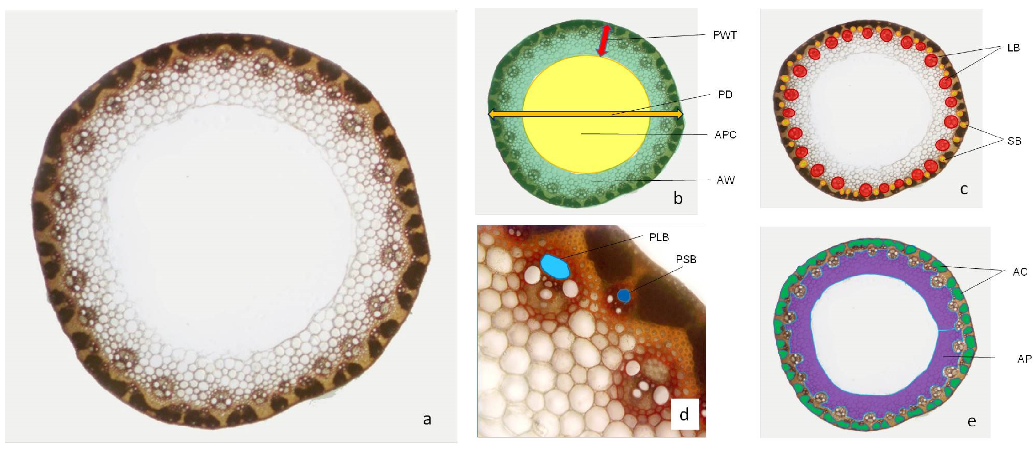 Agriculture 13 00673 g001