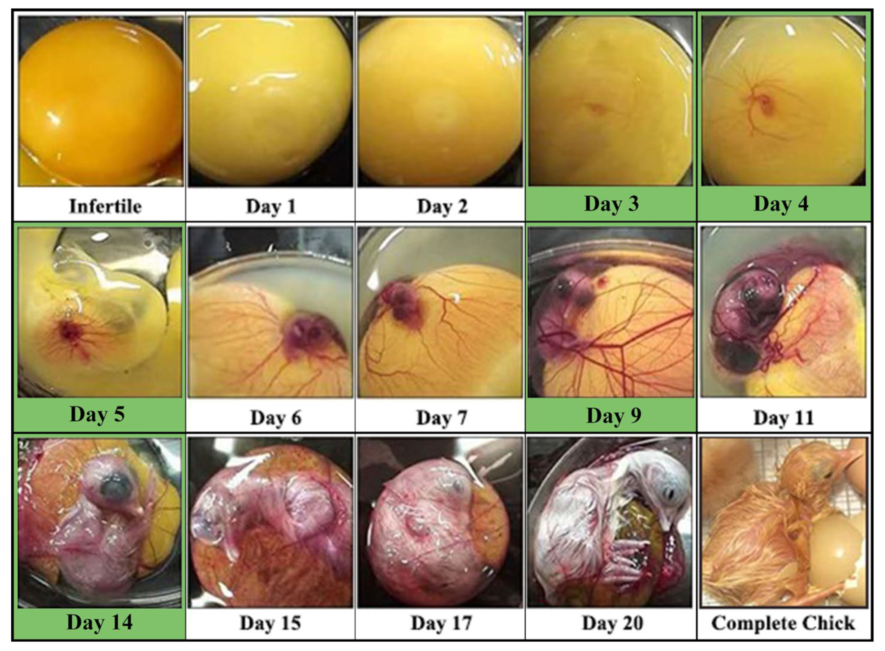 Agriculture 13 00677 g005 Agriculture 13 00677 g005