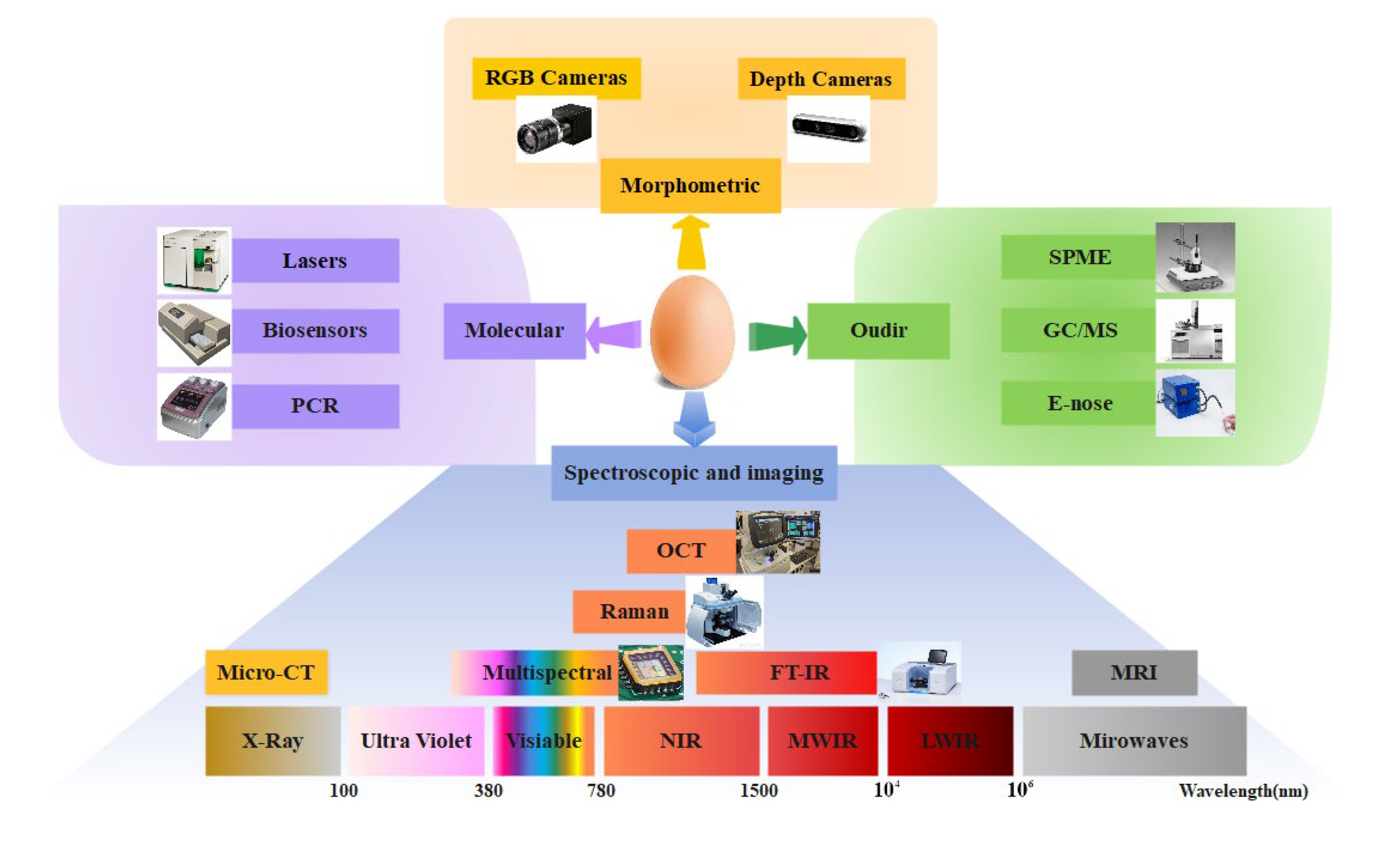 Agriculture 13 00677 g006 Agriculture 13 00677 g006