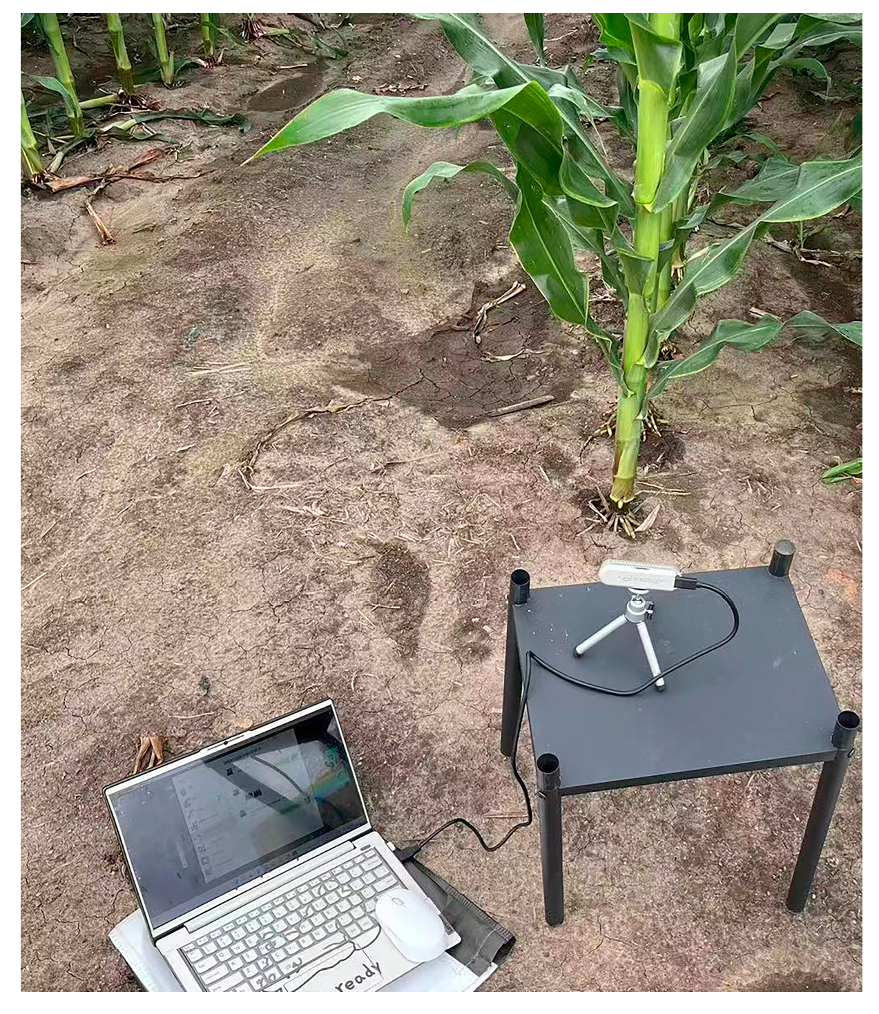 Agriculture 13 00678 g001