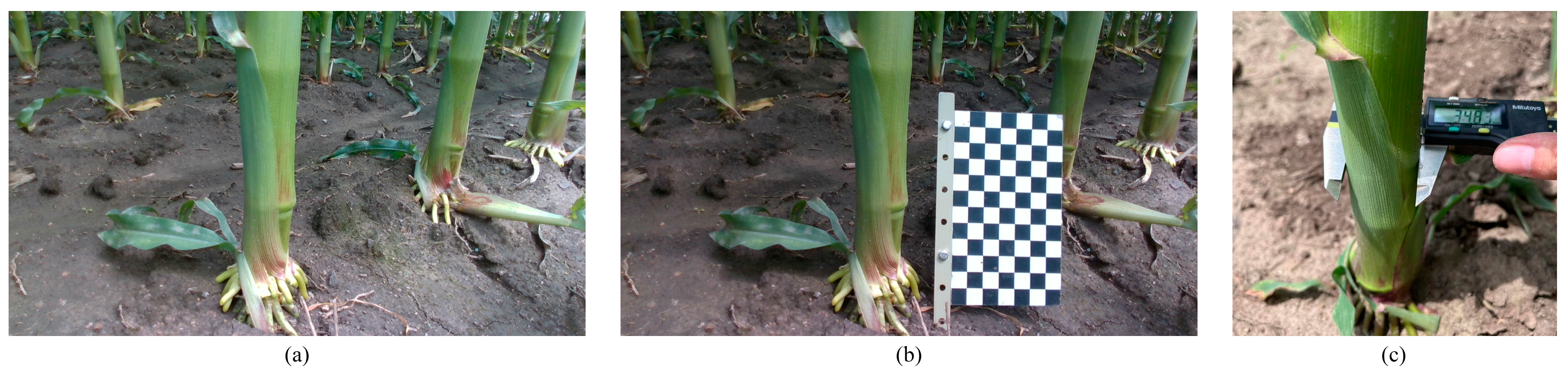 Agriculture 13 00678 g002