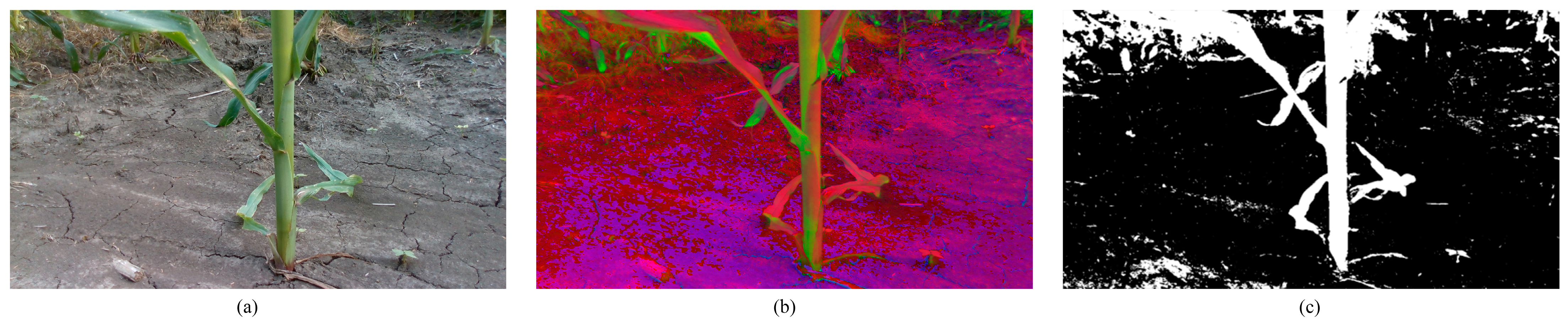 Agriculture 13 00678 g003