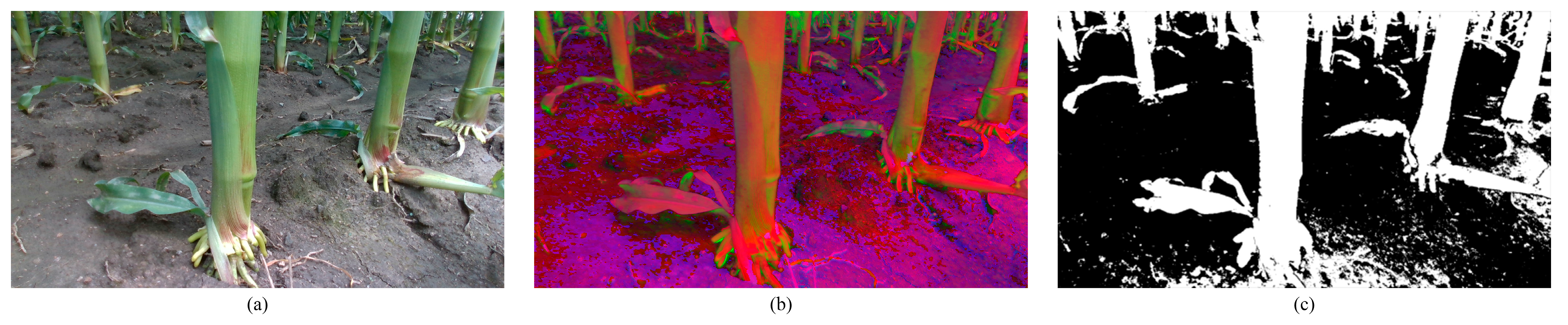 Agriculture 13 00678 g004