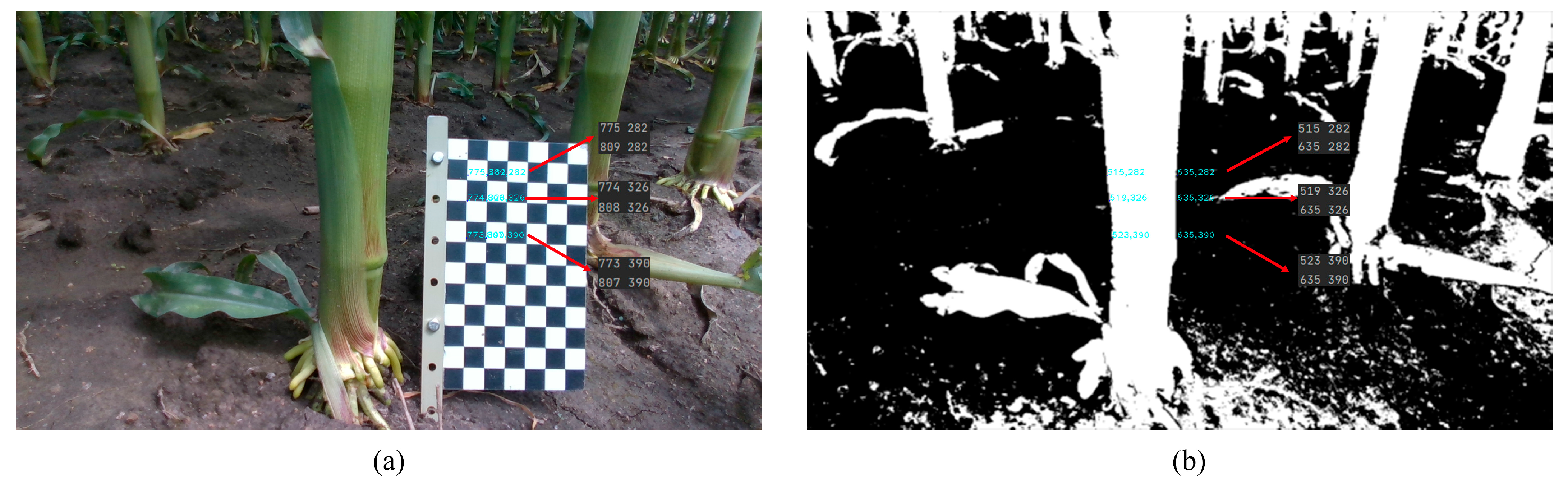 Agriculture 13 00678 g006