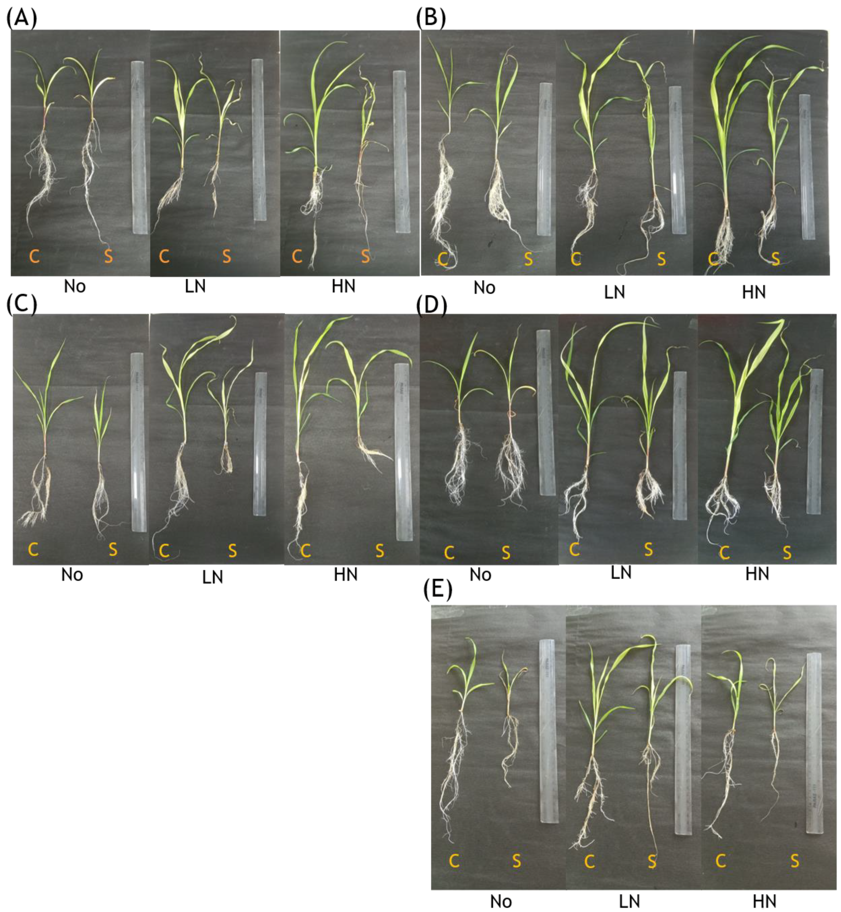 Agriculture 13 00680 g001