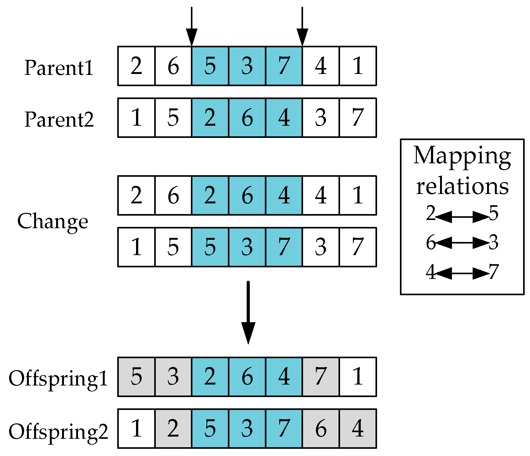 Agriculture 13 00681 g005