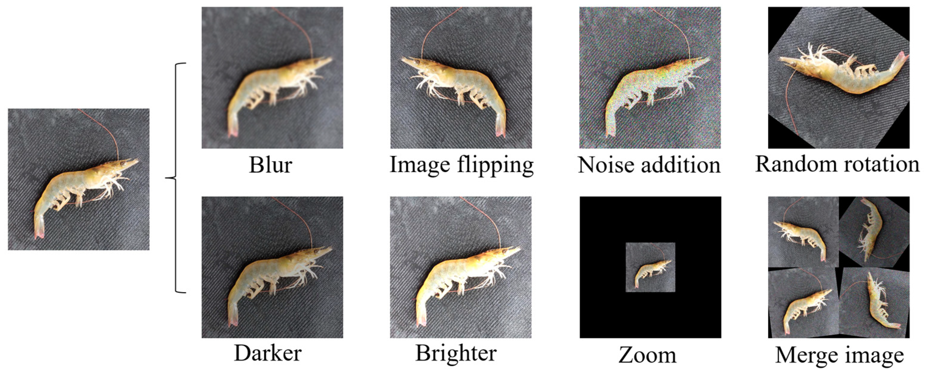 Agriculture 13 00690 g007