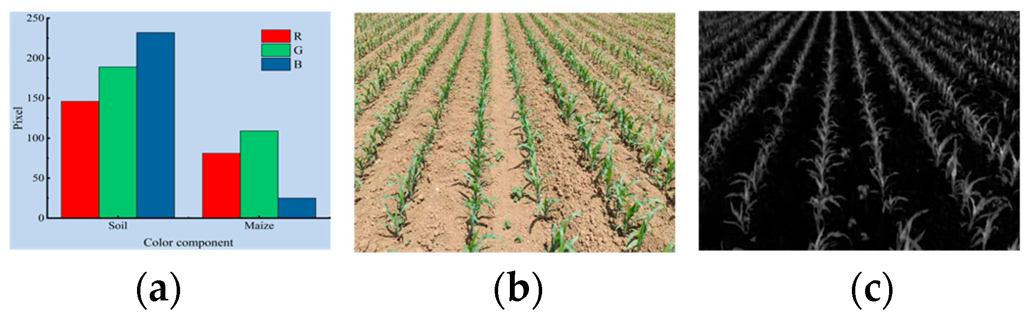 Agriculture 13 00691 g004