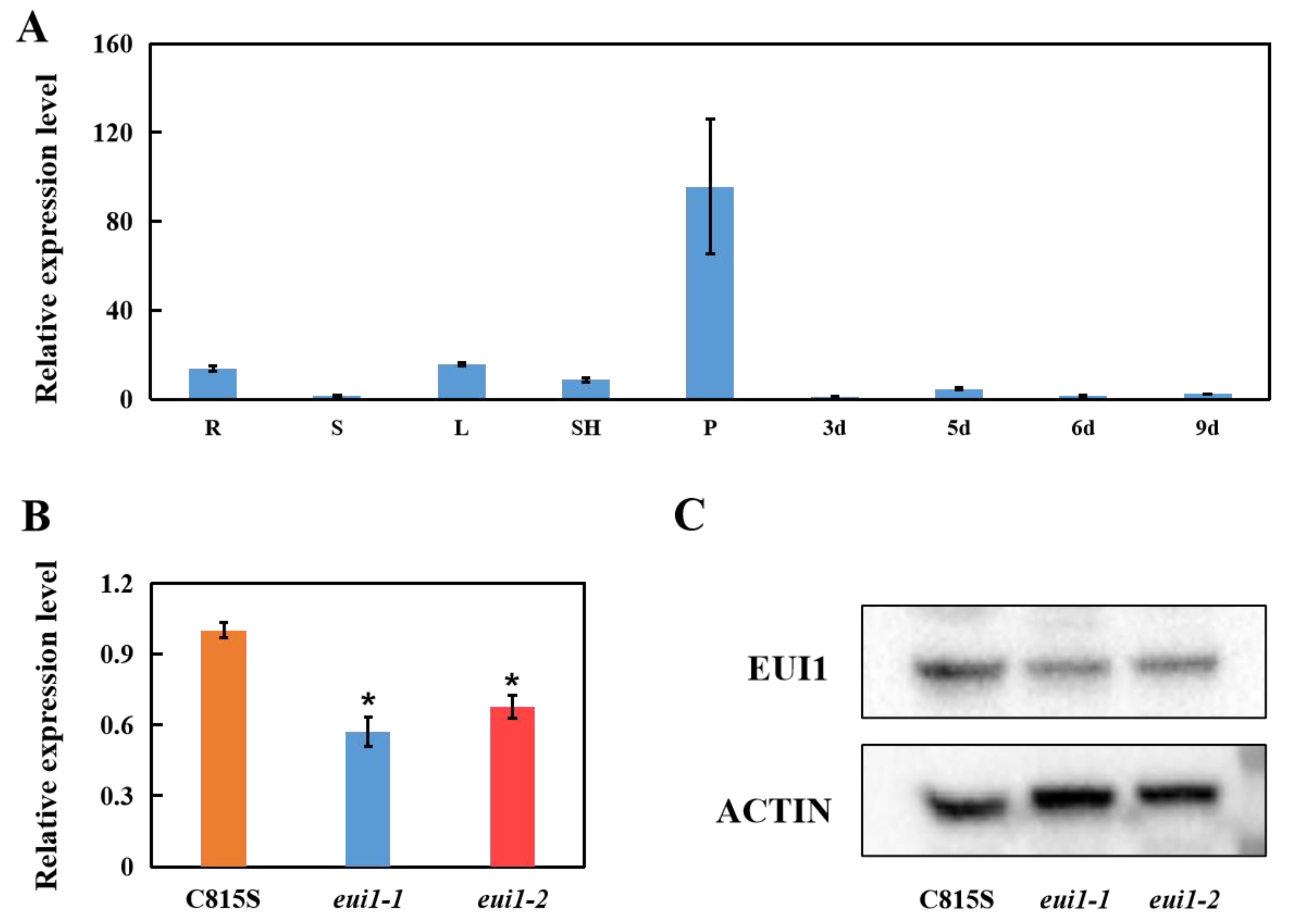 Agriculture 13 00693 g003