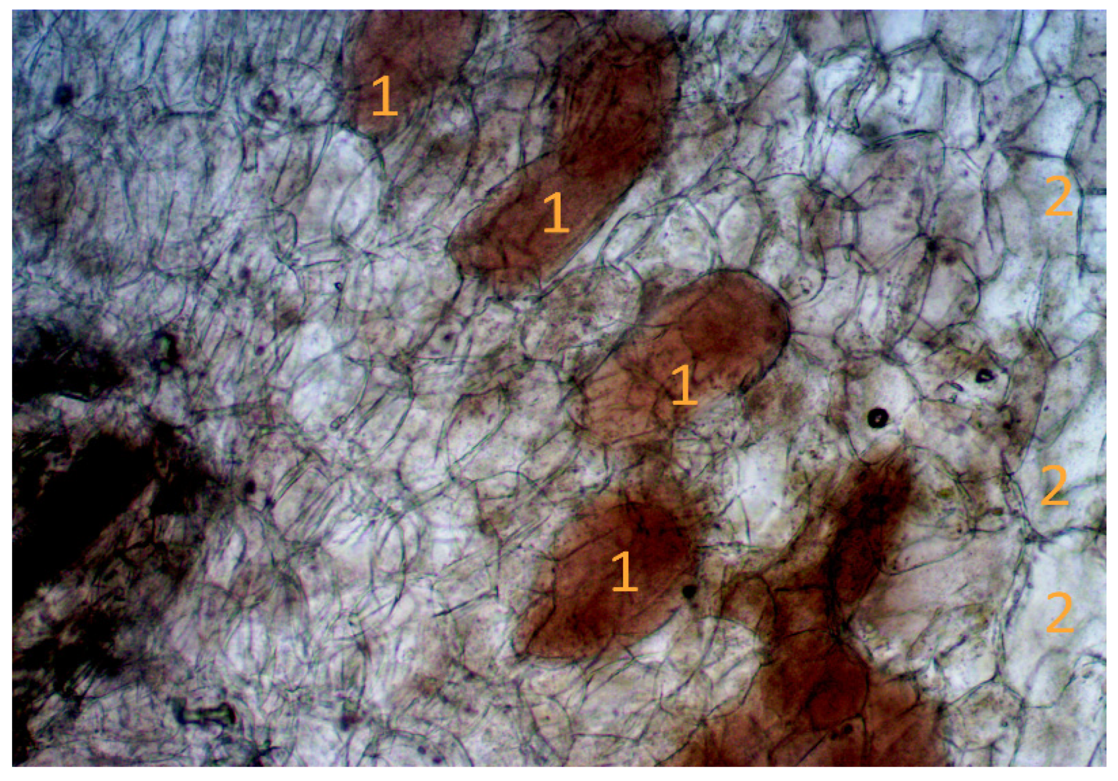 Agriculture 13 00695 g007