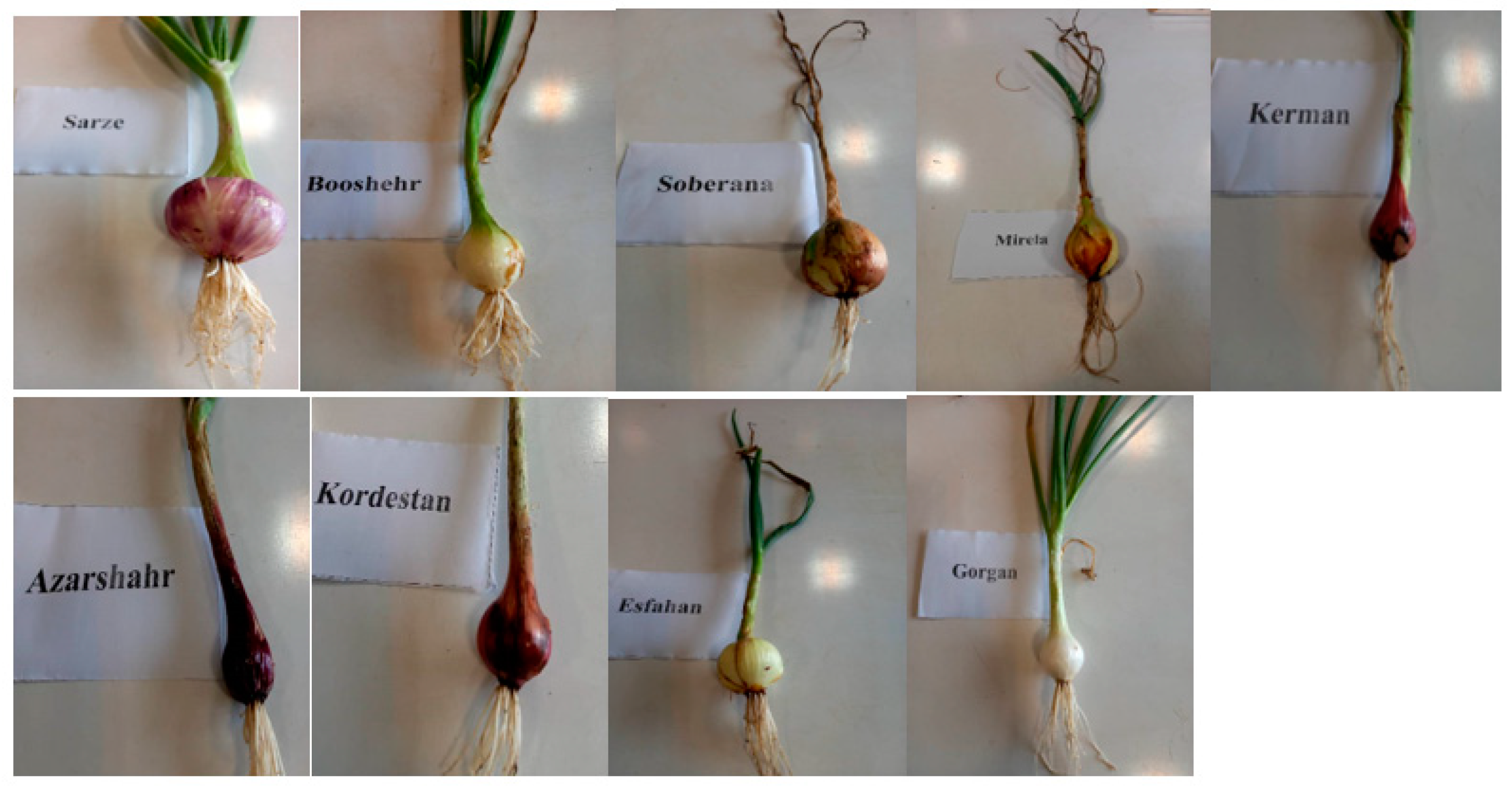 Agriculture 13 00697 g002