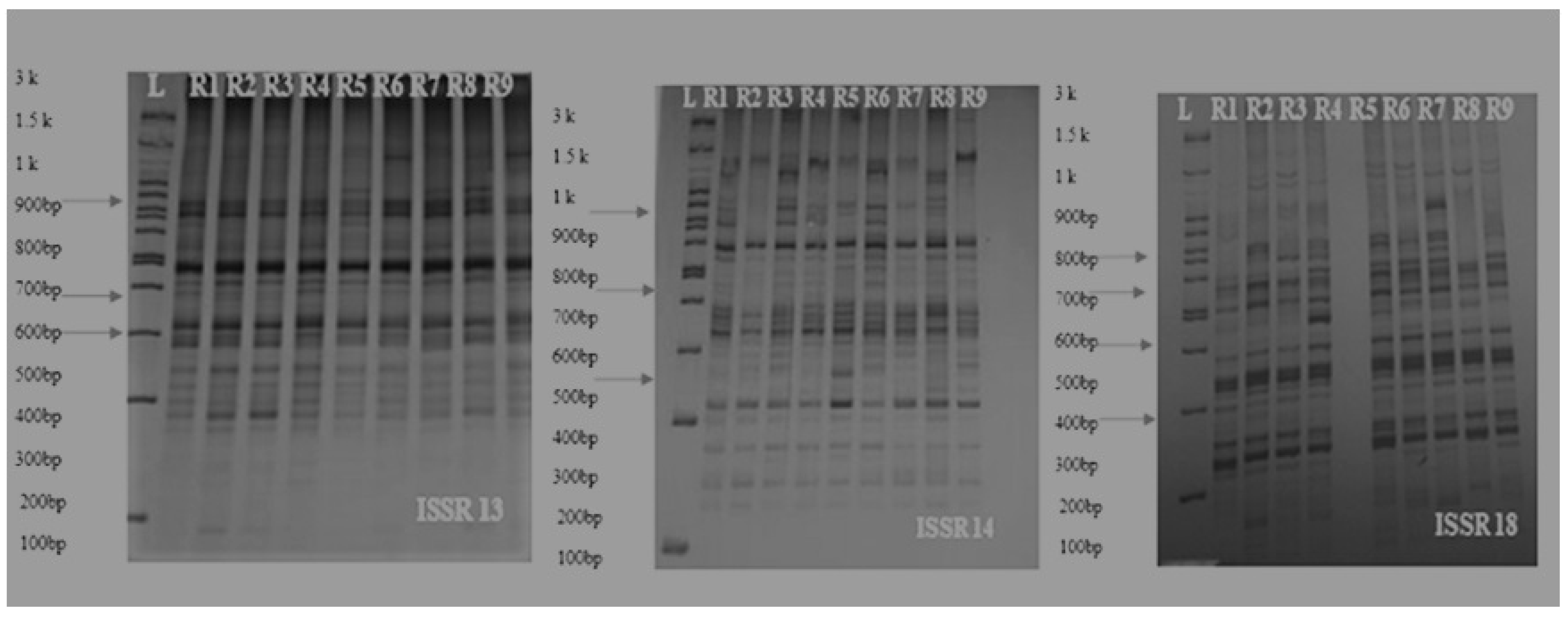 Agriculture 13 00697 g015