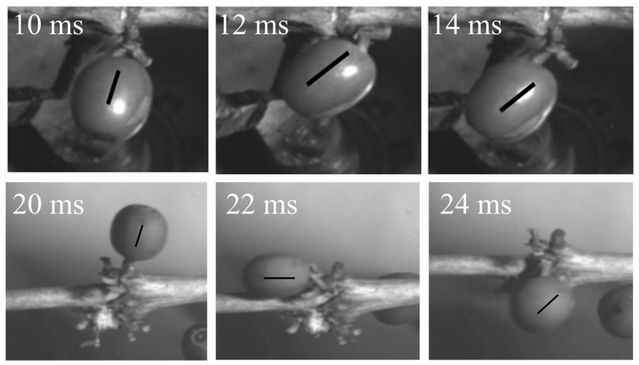 Agriculture 13 00700 g008