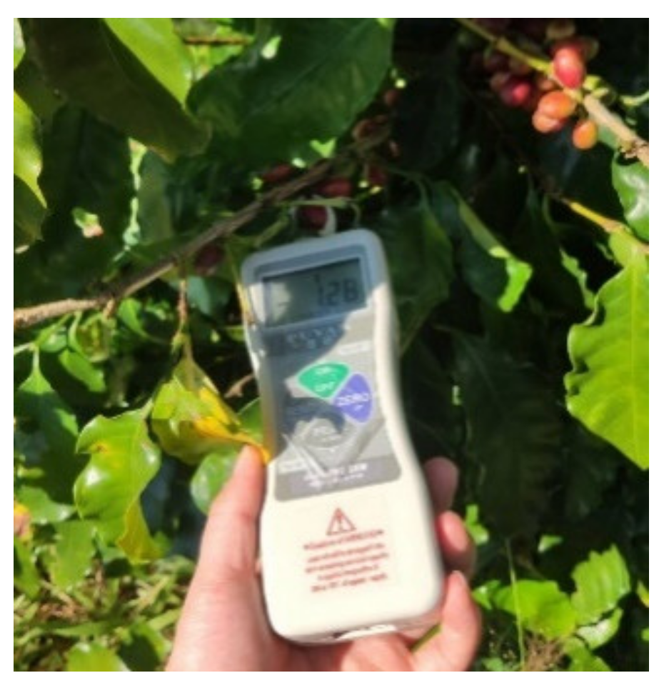 Agriculture 13 00700 g010