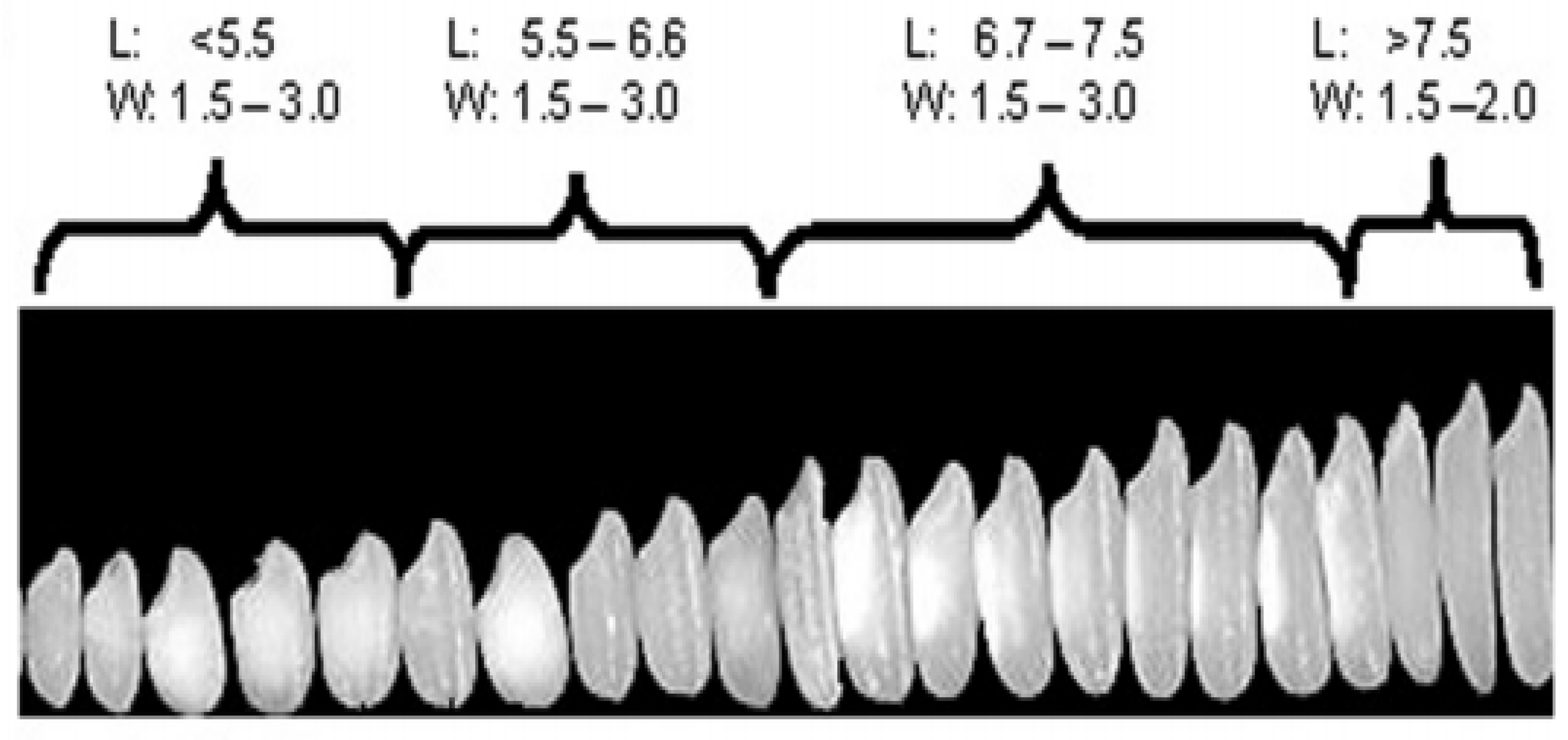 Agriculture 13 00705 g001