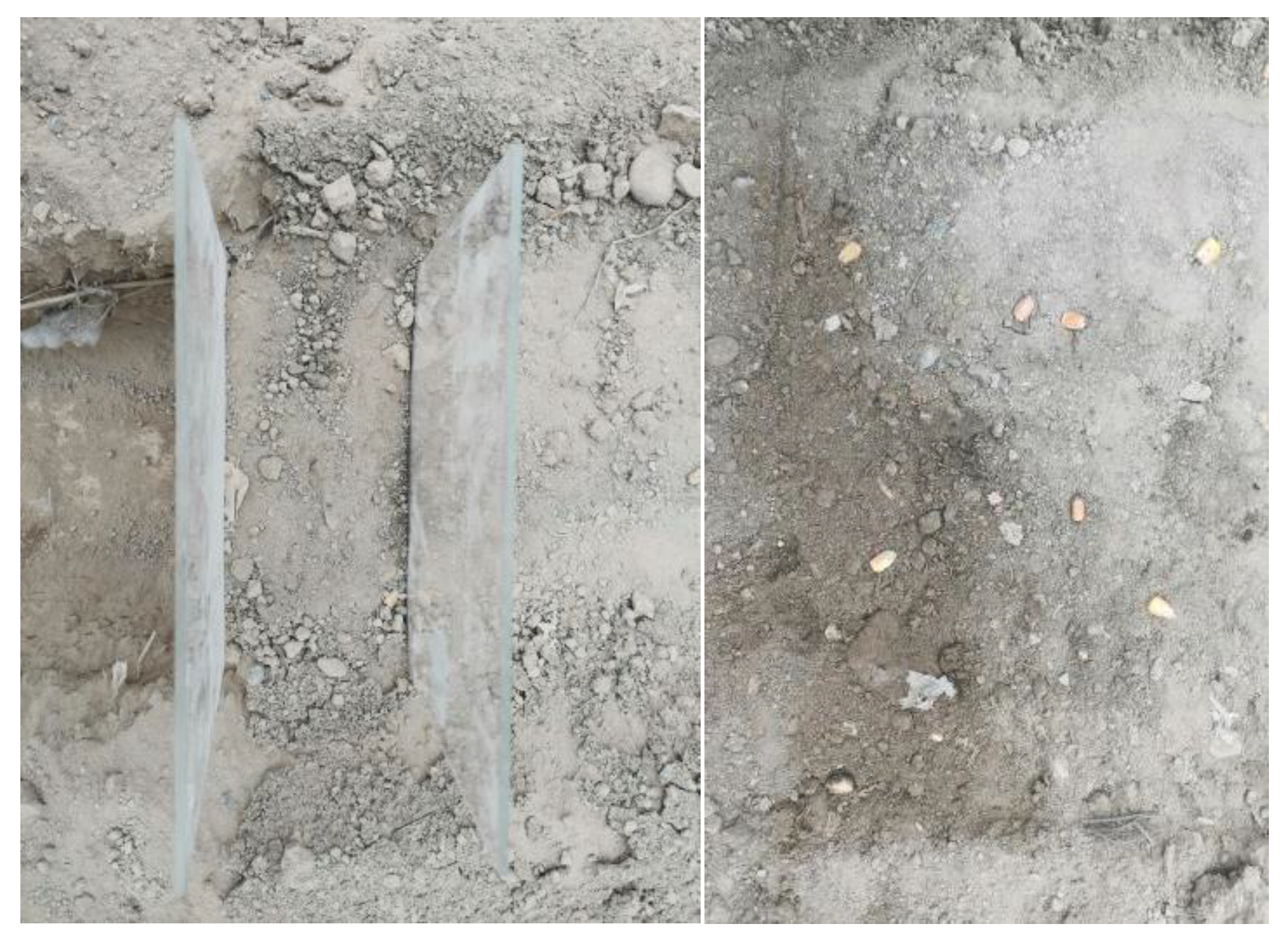 Agriculture 13 00709 g014