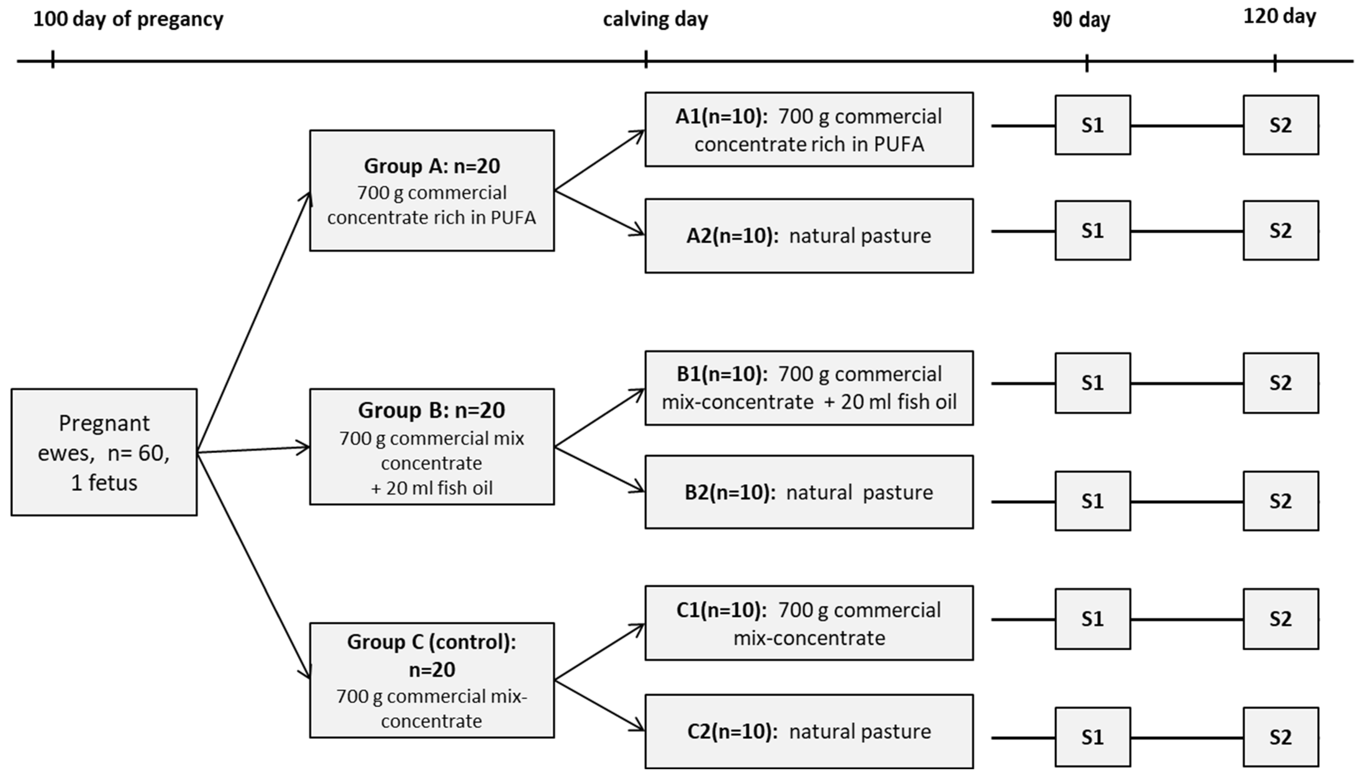 Agriculture 13 00710 g001