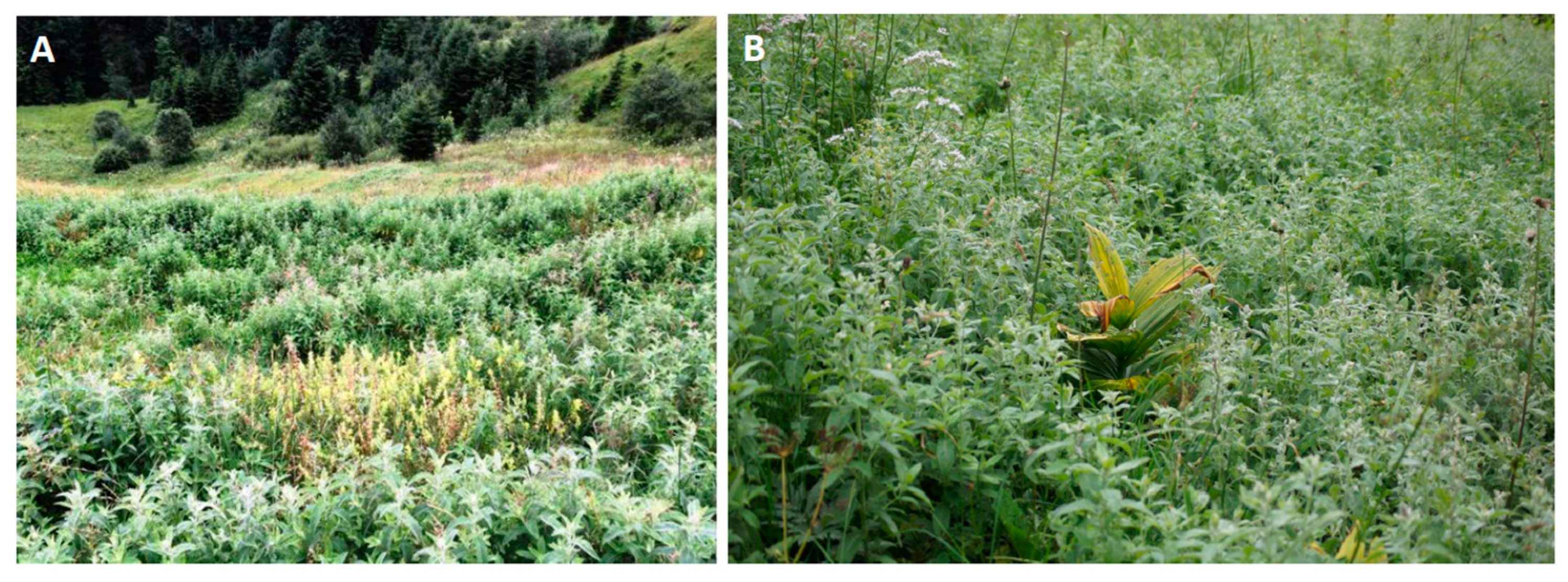 Agriculture 13 00712 g001