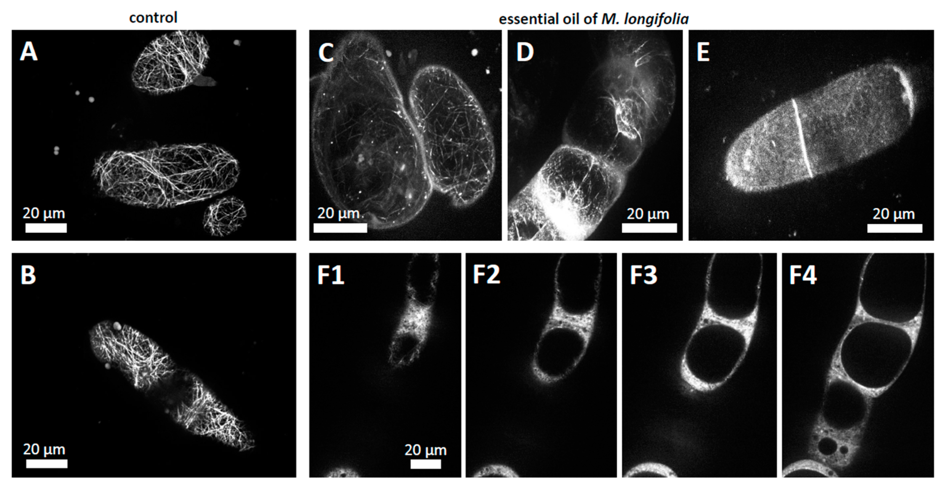 Agriculture 13 00712 g006