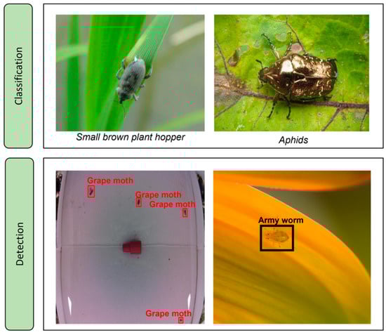 Agriculture 13 00713 g002