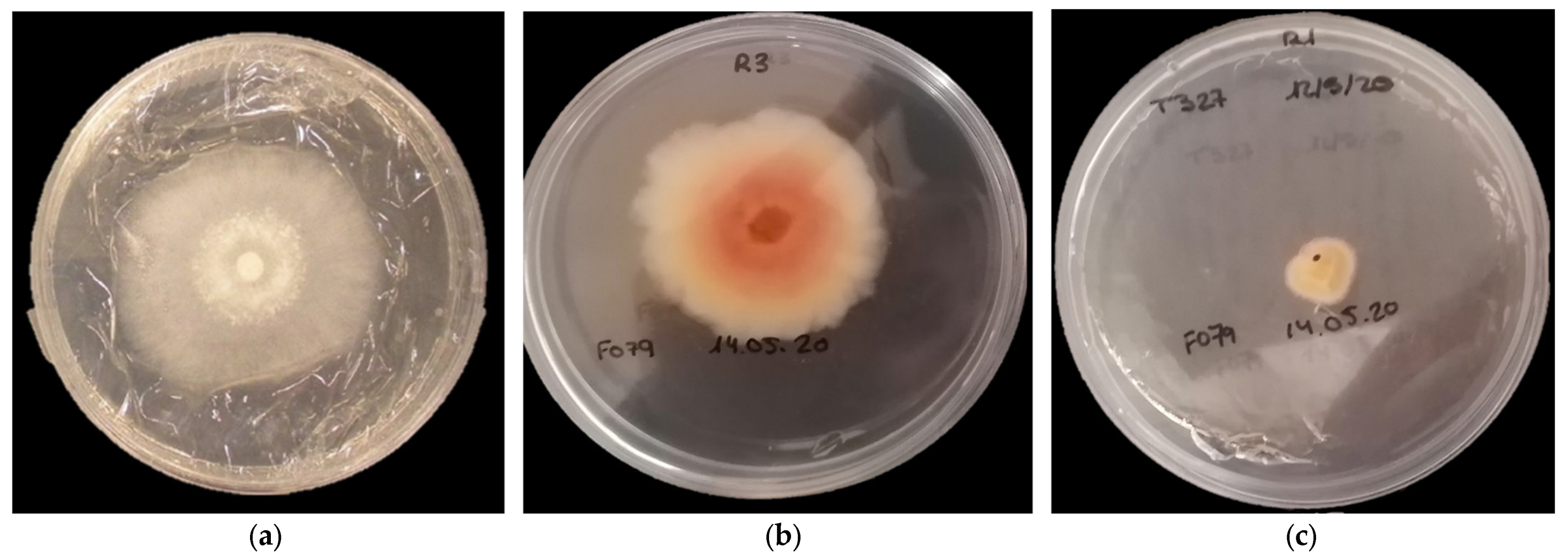 Agriculture 13 00720 g004