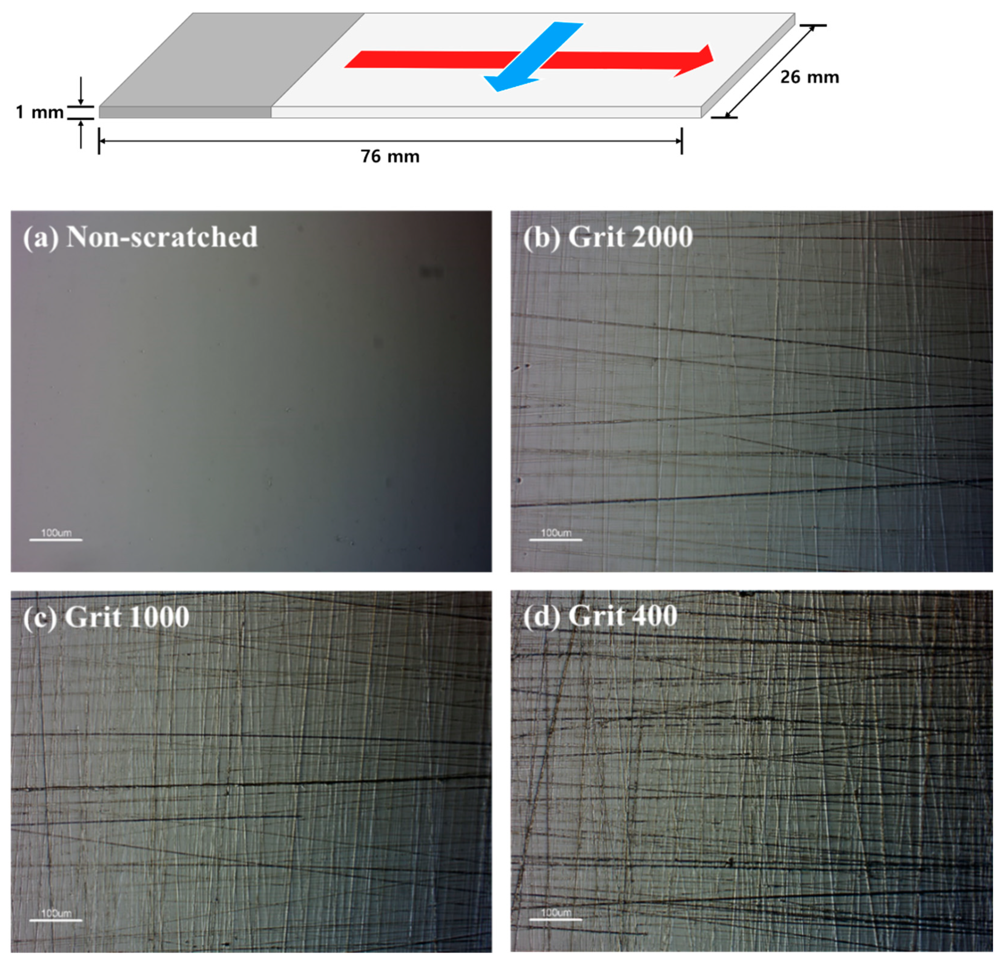 Agriculture 13 00727 g002