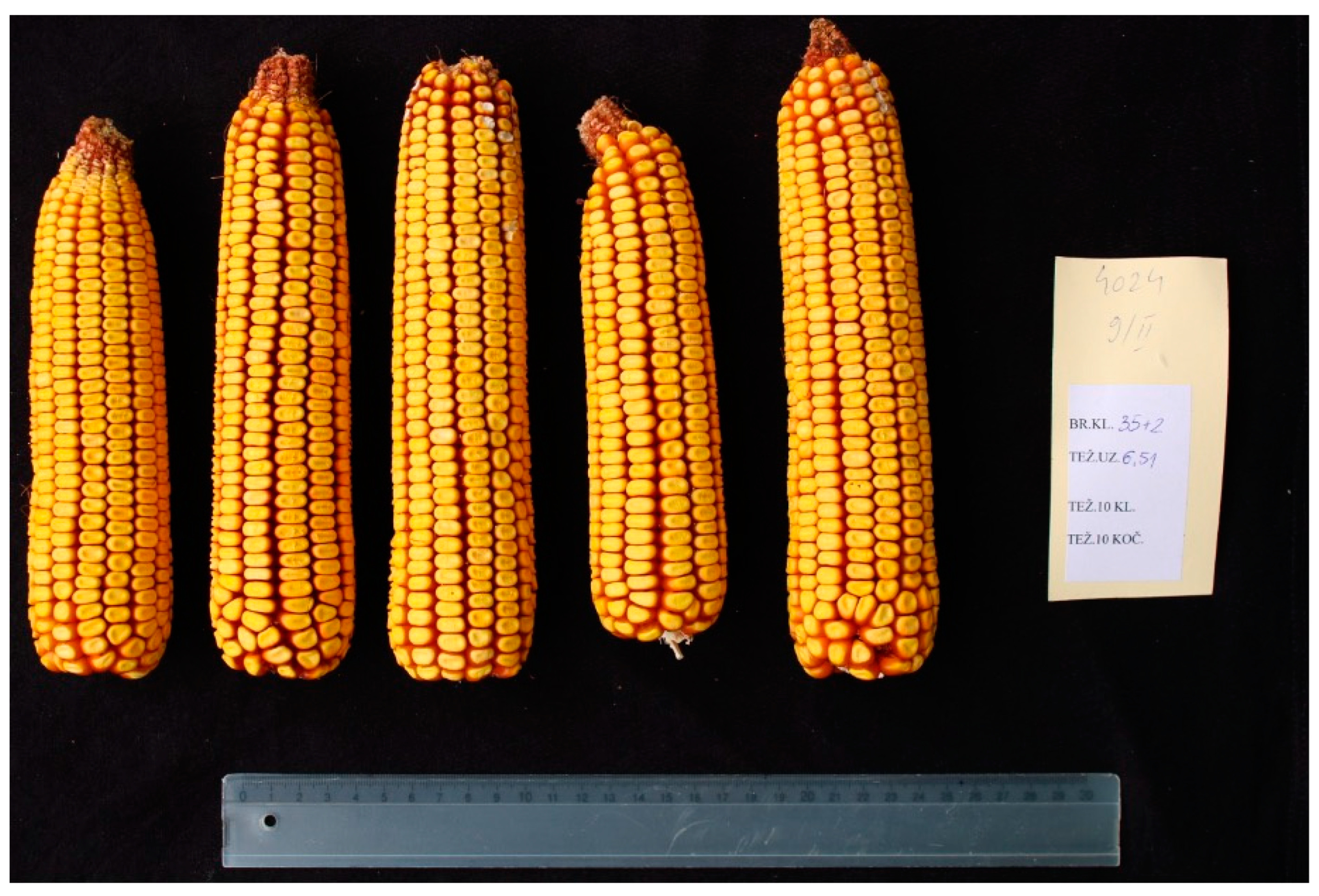 Agriculture 13 00732 g001