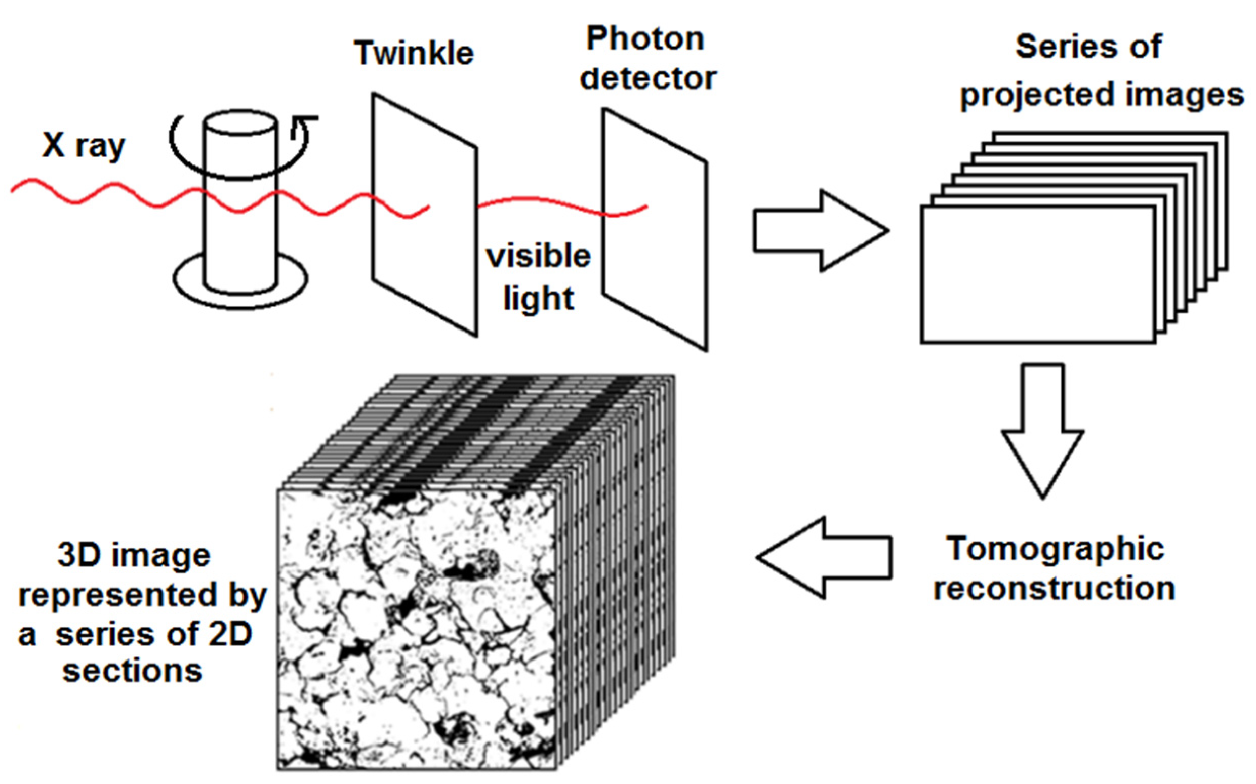 Agriculture 13 00736 g001