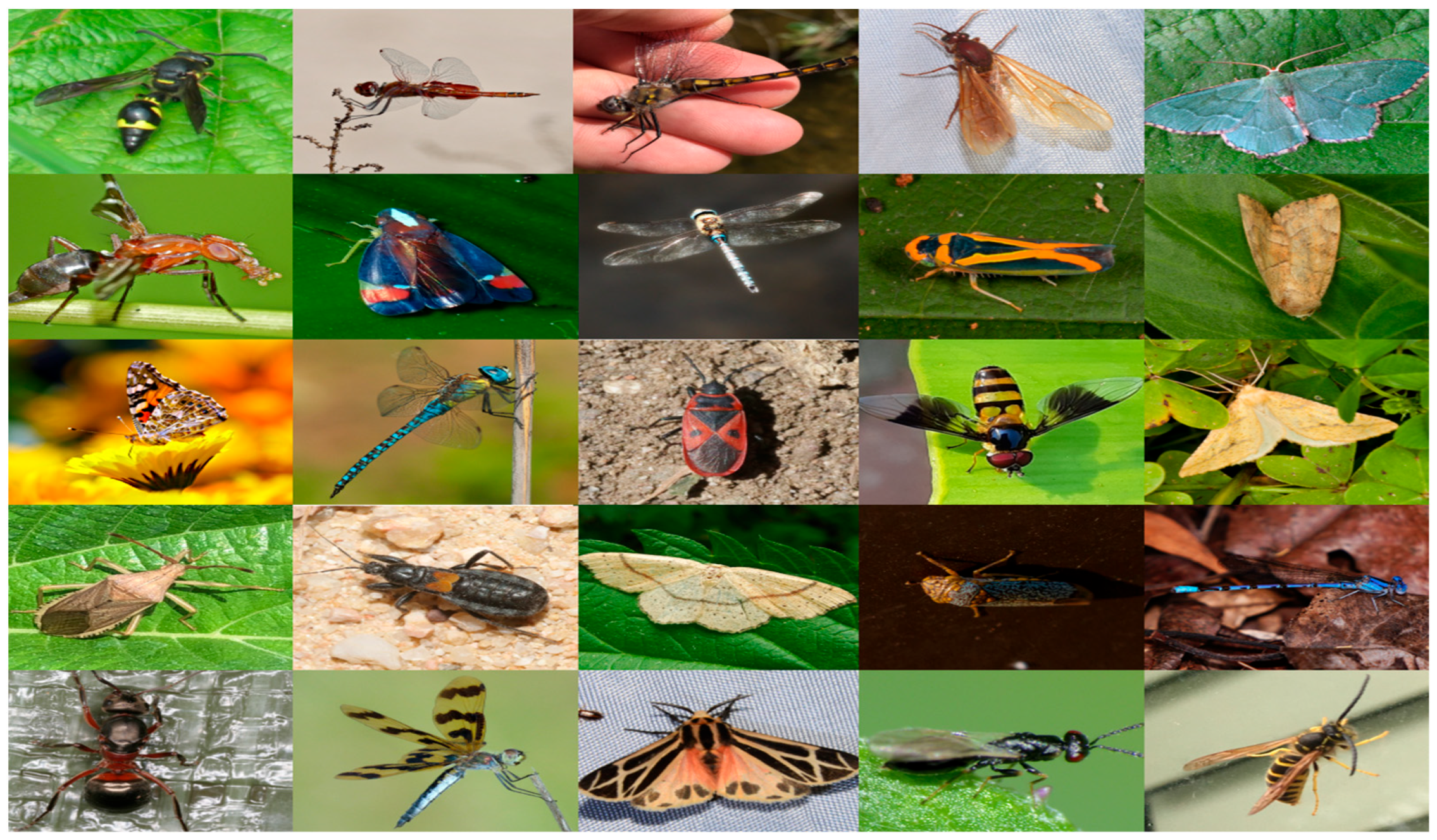 Agriculture 13 00741 g001