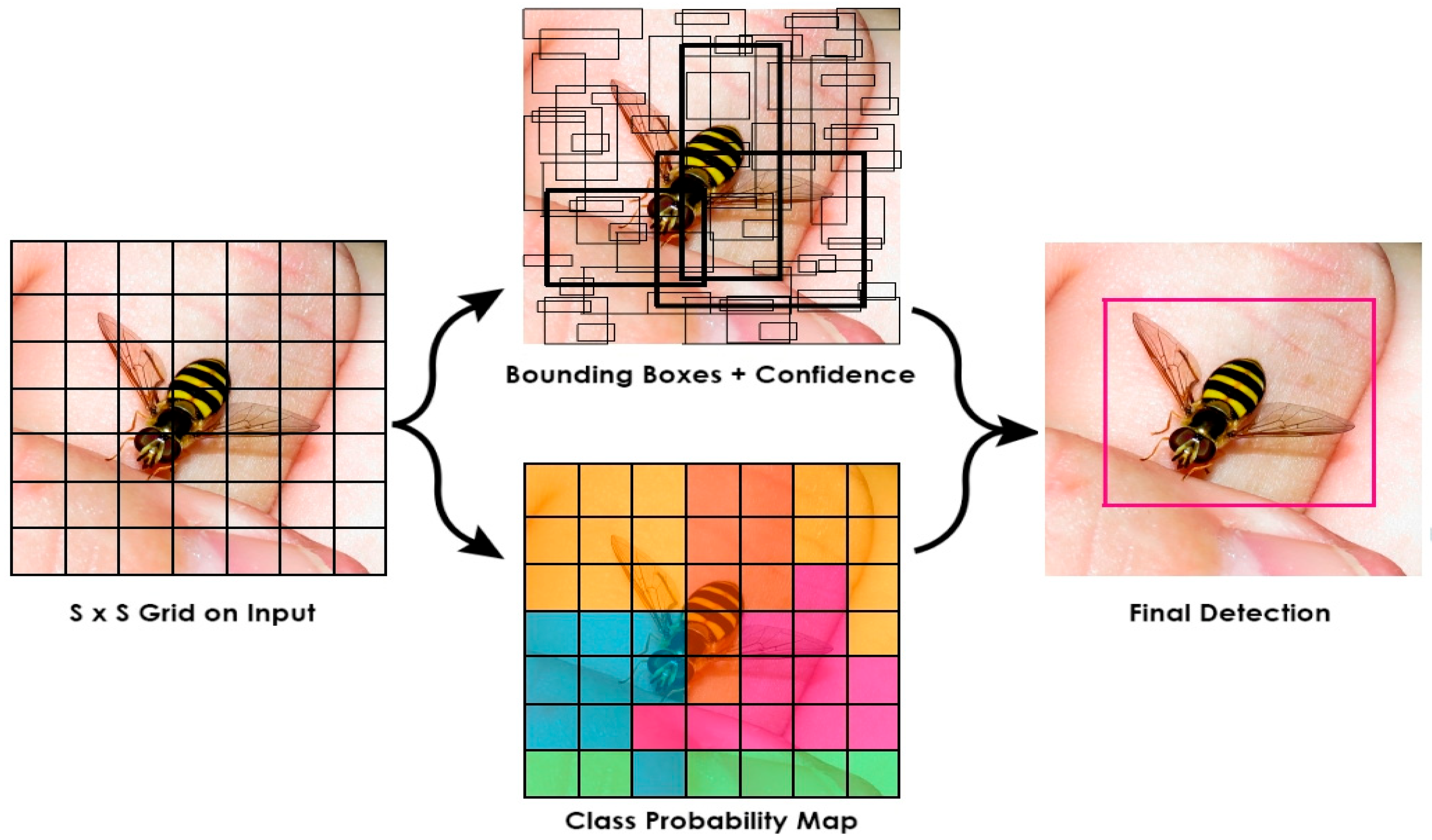 Agriculture 13 00741 g002