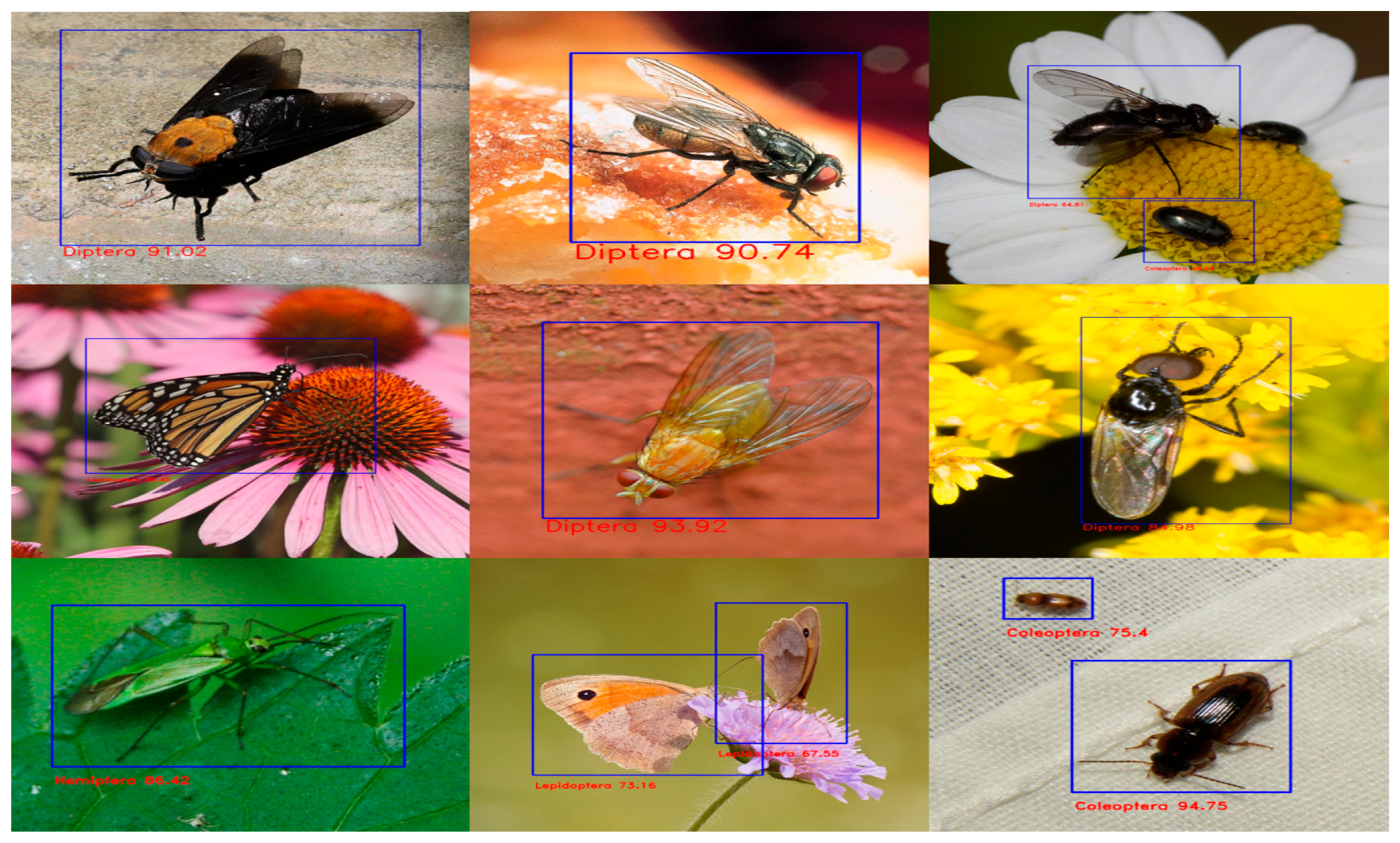 Agriculture 13 00741 g007