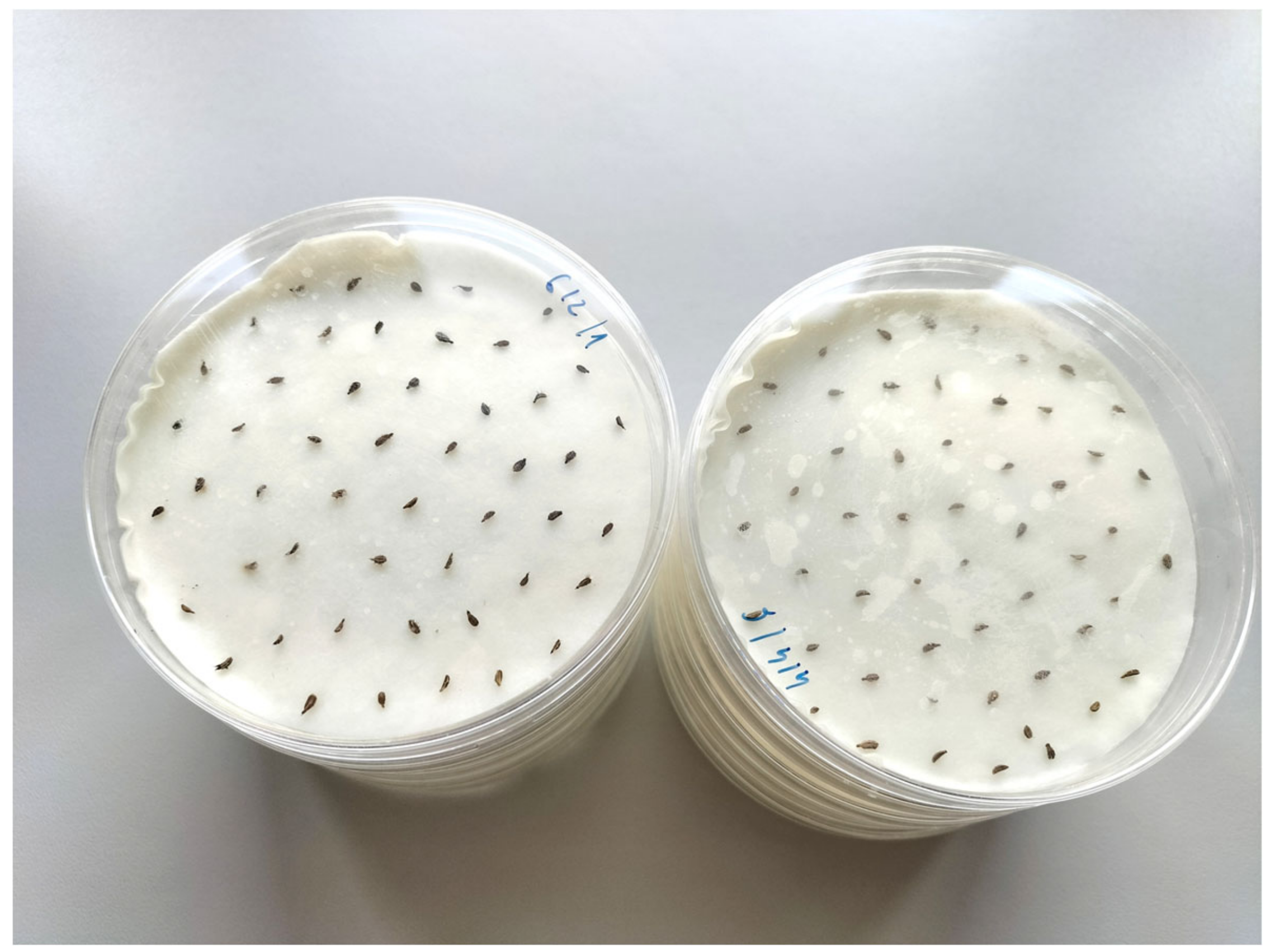 Agriculture 13 00749 g001 Agriculture 13 00749 g001