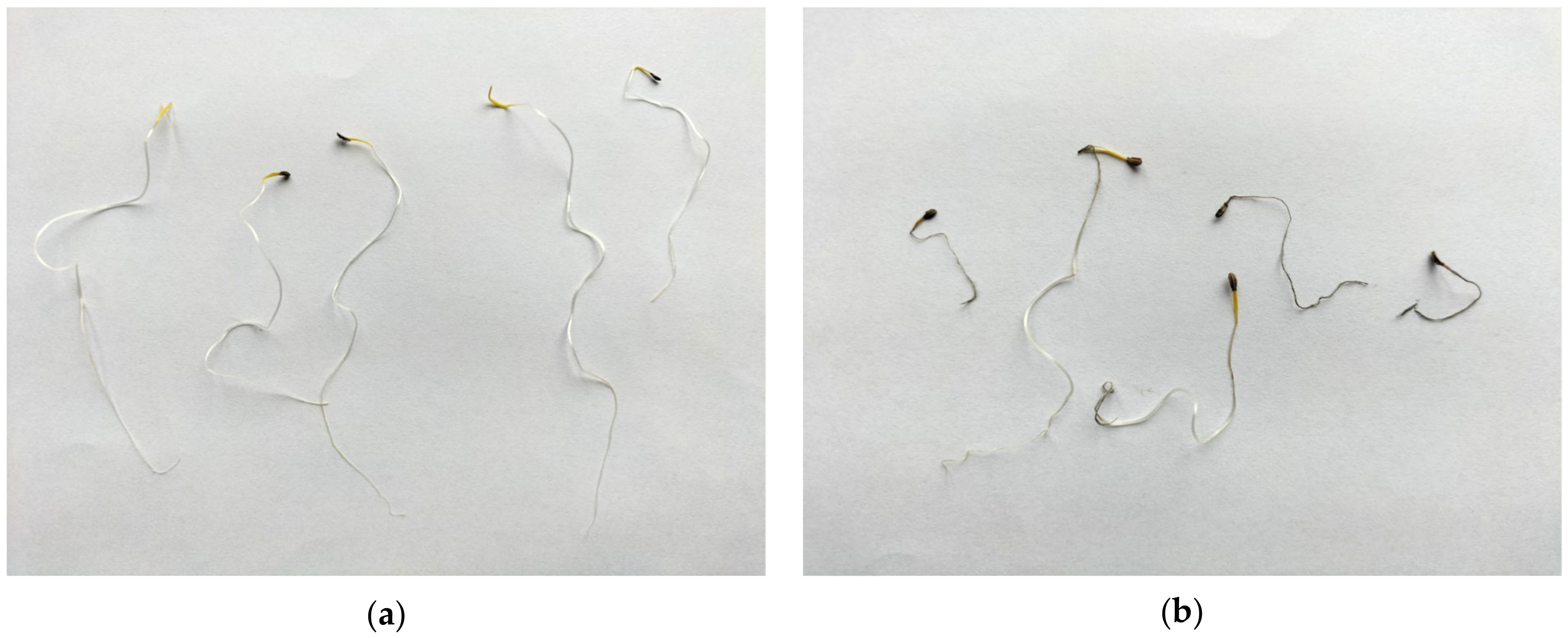 Agriculture 13 00749 g002 Agriculture 13 00749 g002