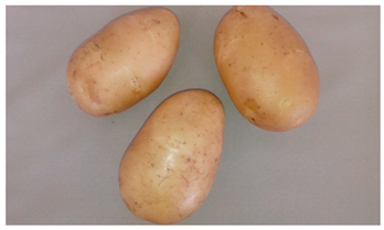 Agriculture 13 00758 i001