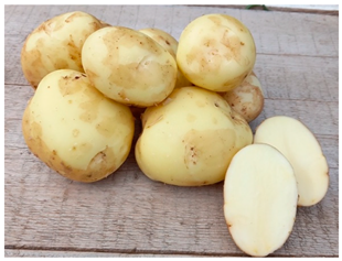 Agriculture 13 00758 i002