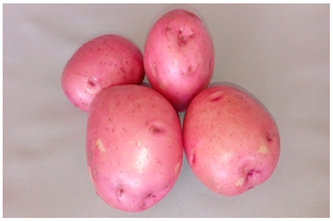 Agriculture 13 00758 i003