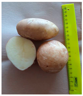 Agriculture 13 00758 i004