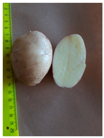 Agriculture 13 00758 i005