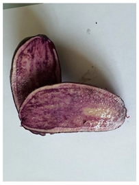 Agriculture 13 00758 i006