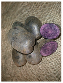 Agriculture 13 00758 i007