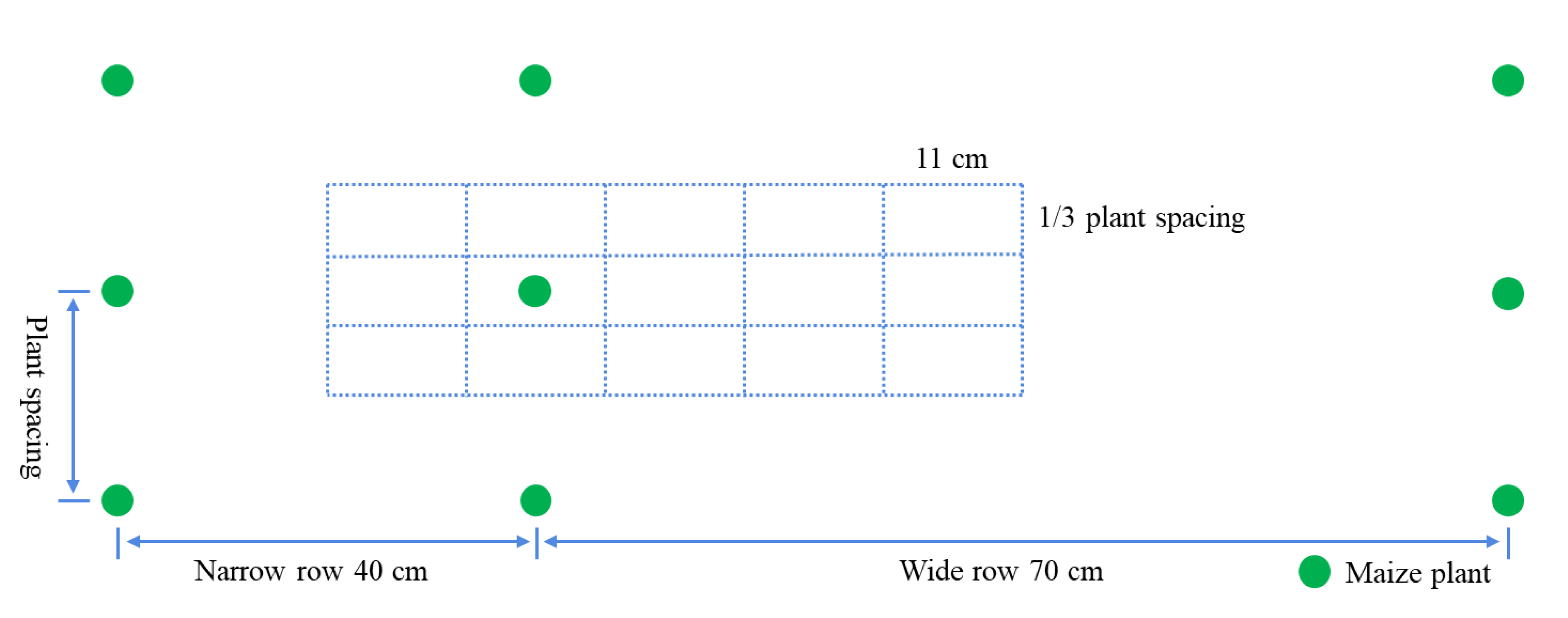 Agriculture 13 00765 g001